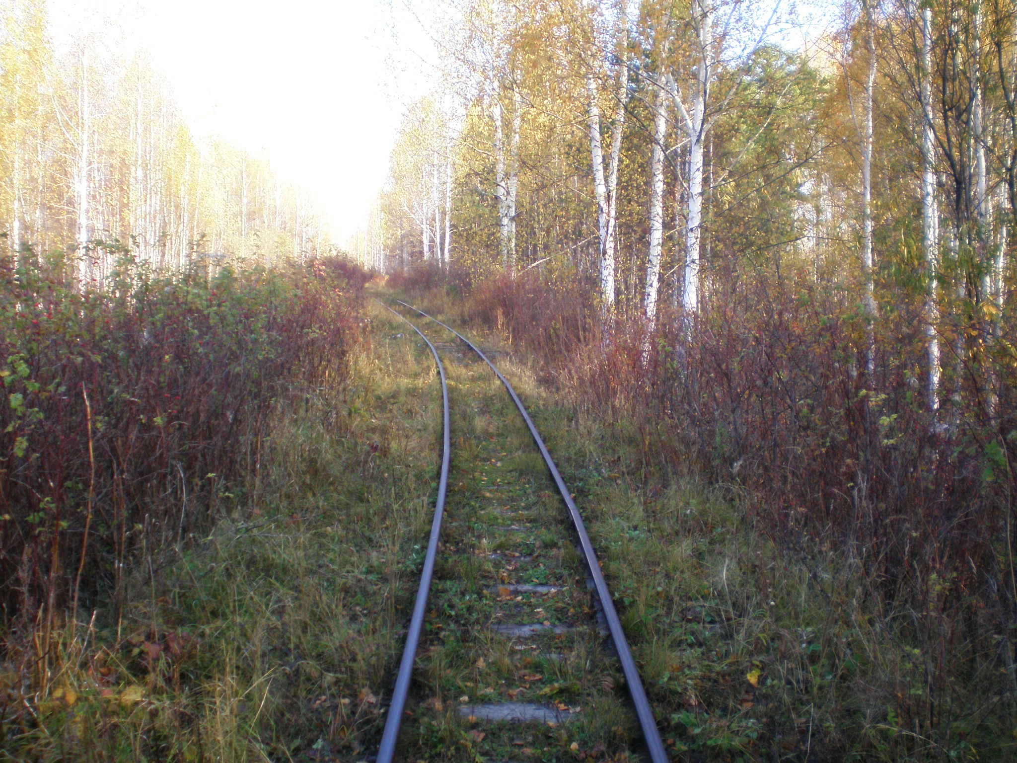 Алапаевская узкоколейная железная дорога — фотографии, сделанные в 2007 году (часть 57) Алапаевская узкоколейная железная дорога — фотографии, сделанные в 2007 году (часть 57)