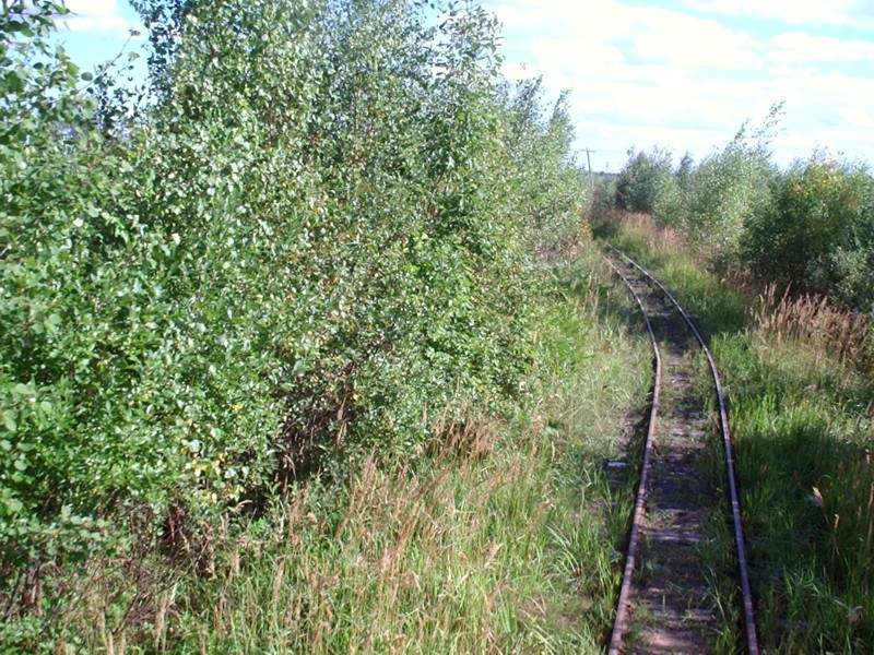 Узкоколейная железная дорога Васильевского предприятия промышленного железнодорожного транспорта — фотографии, сделанные в 2005 году (часть 34) Узкоколейная железная дорога Васильевского предприятия промышленного железнодорожного транспорта — фотографии, сделанные в 2005 году (часть 34)