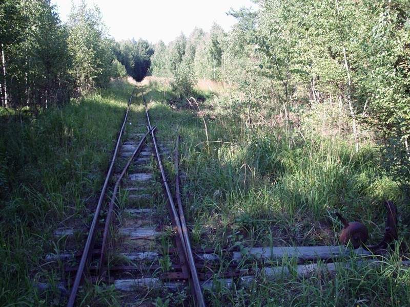 Узкоколейная железная дорога Васильевского предприятия промышленного железнодорожного транспорта — фотографии, сделанные в 2005 году (часть 35) Узкоколейная железная дорога Васильевского предприятия промышленного железнодорожного транспорта — фотографии, сделанные в 2005 году (часть 35)
