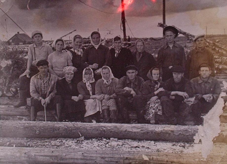 Каменская узкоколейная железная дорога Каменская узкоколейная железная дорога