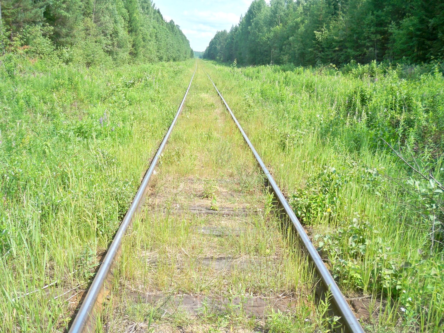 Монзенская железная дорога
— фотографии, сделанные в 2013 году (часть 9) Монзенская железная дорога
— фотографии, сделанные в 2013 году (часть 9)