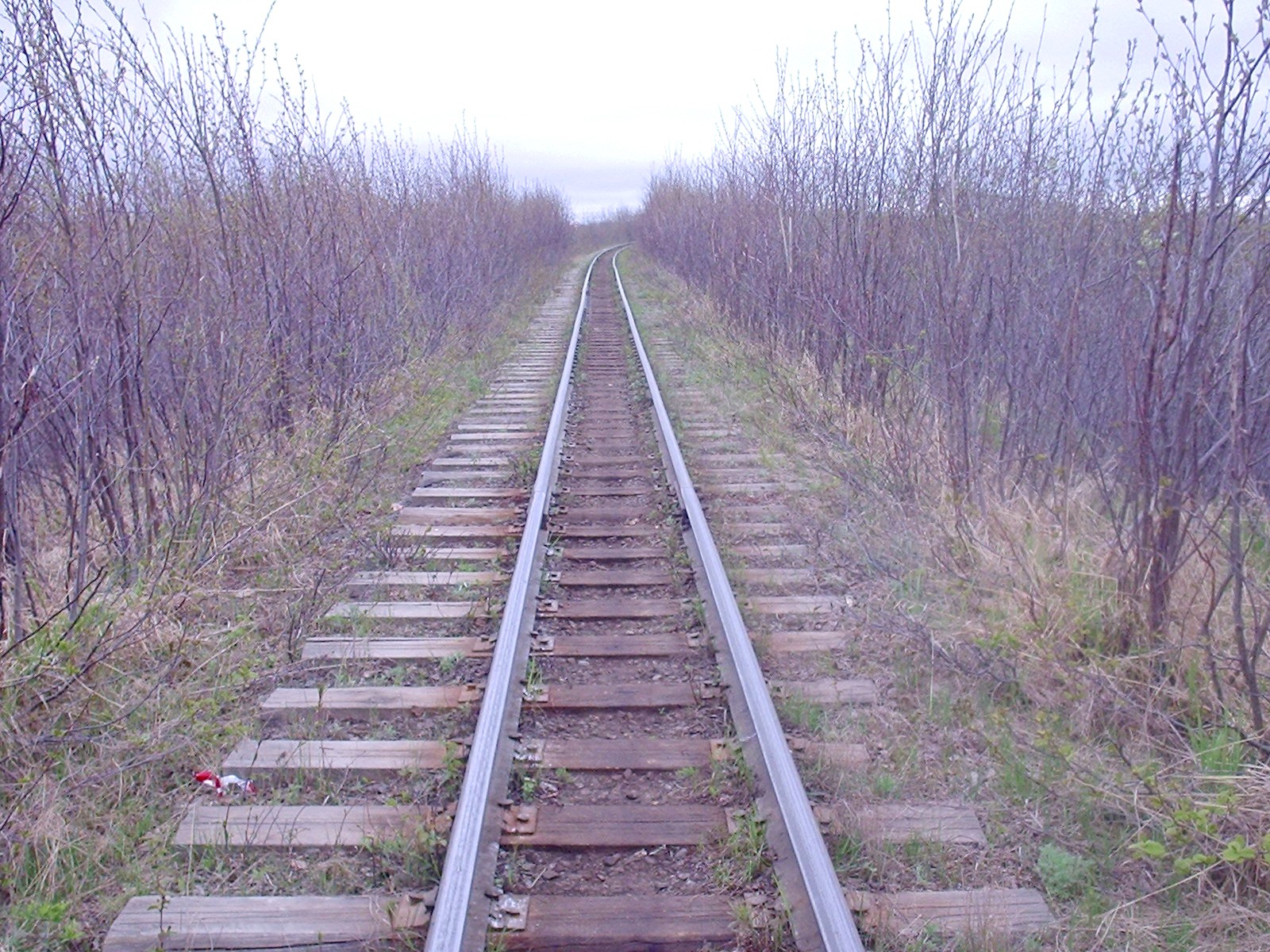 Узкоколейная железная дорога Оха — Ноглики - фотографии, сделанные в 2006 году (часть 7) Узкоколейная железная дорога Оха — Ноглики - фотографии, сделанные в 2006 году (часть 7)