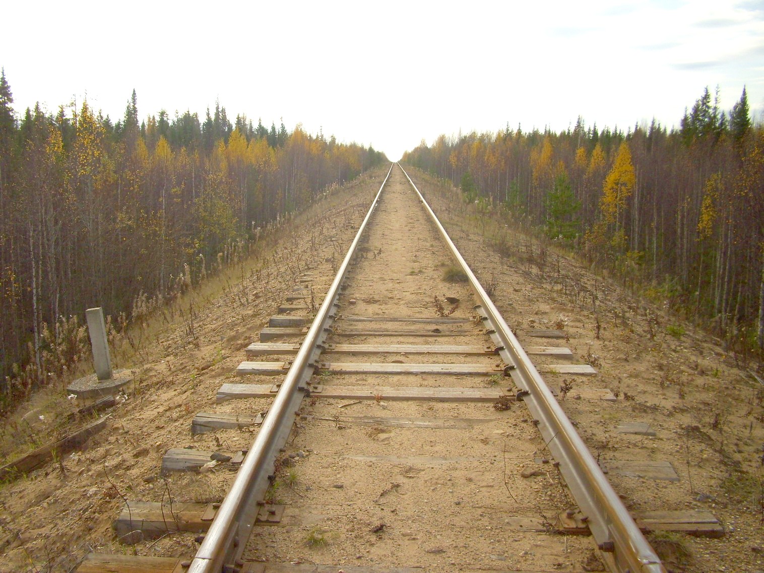 Мезенская железная дорога
— фотографии, сделанные в 2010 году (часть 10) Мезенская железная дорога
— фотографии, сделанные в 2010 году (часть 10)