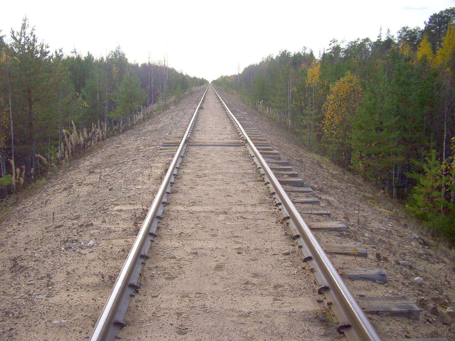 Мезенская железная дорога
— фотографии, сделанные в 2010 году (часть 11) Мезенская железная дорога
— фотографии, сделанные в 2010 году (часть 11)