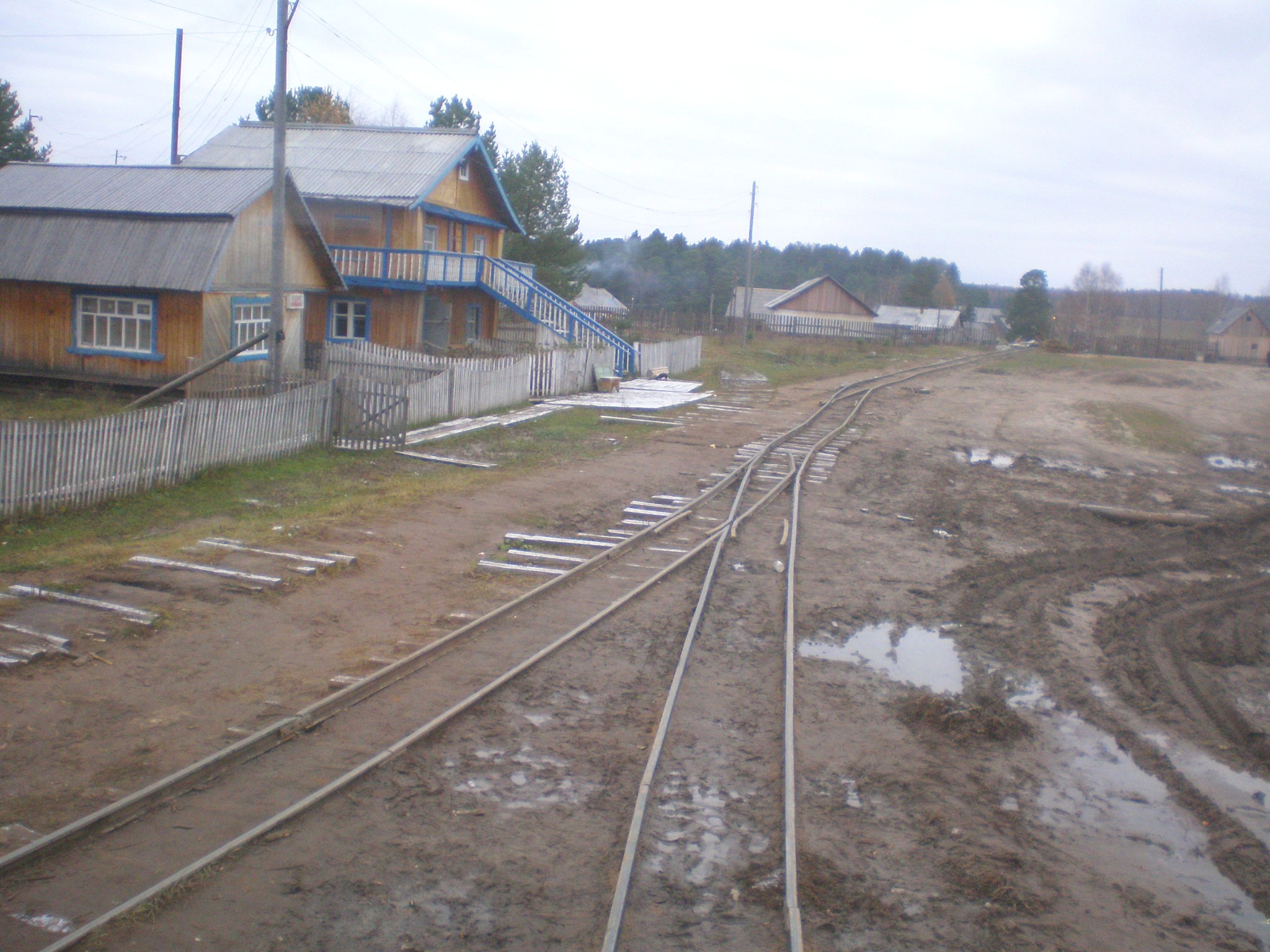 Пильвенская узкоколейная железная дорога — фотографии, сделанные в 2008 году (часть 1) Пильвенская узкоколейная железная дорога — фотографии, сделанные в 2008 году (часть 1)
