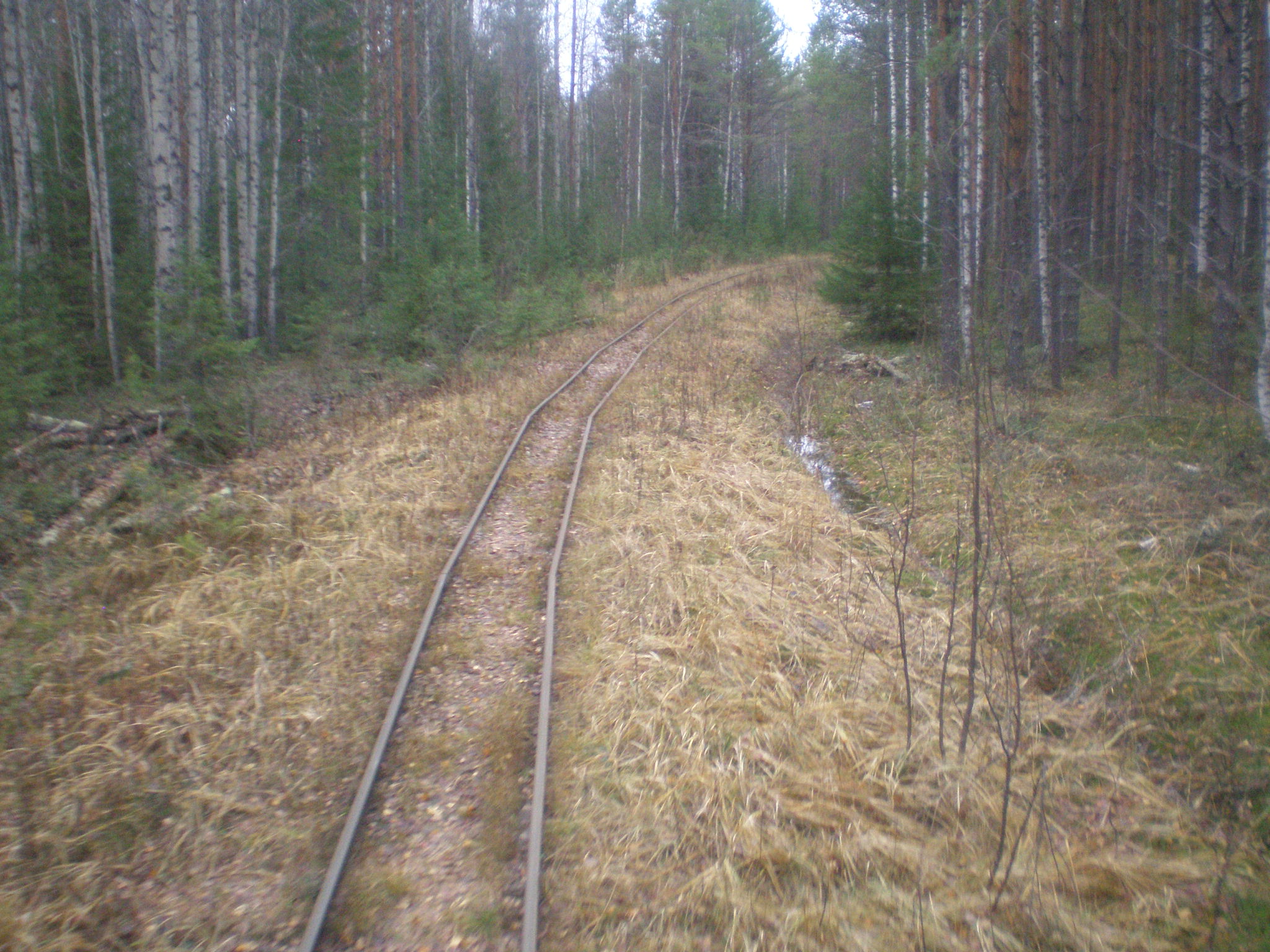 Пильвенская узкоколейная железная дорога — фотографии, сделанные в 2008 году (часть 6) Пильвенская узкоколейная железная дорога — фотографии, сделанные в 2008 году (часть 6)