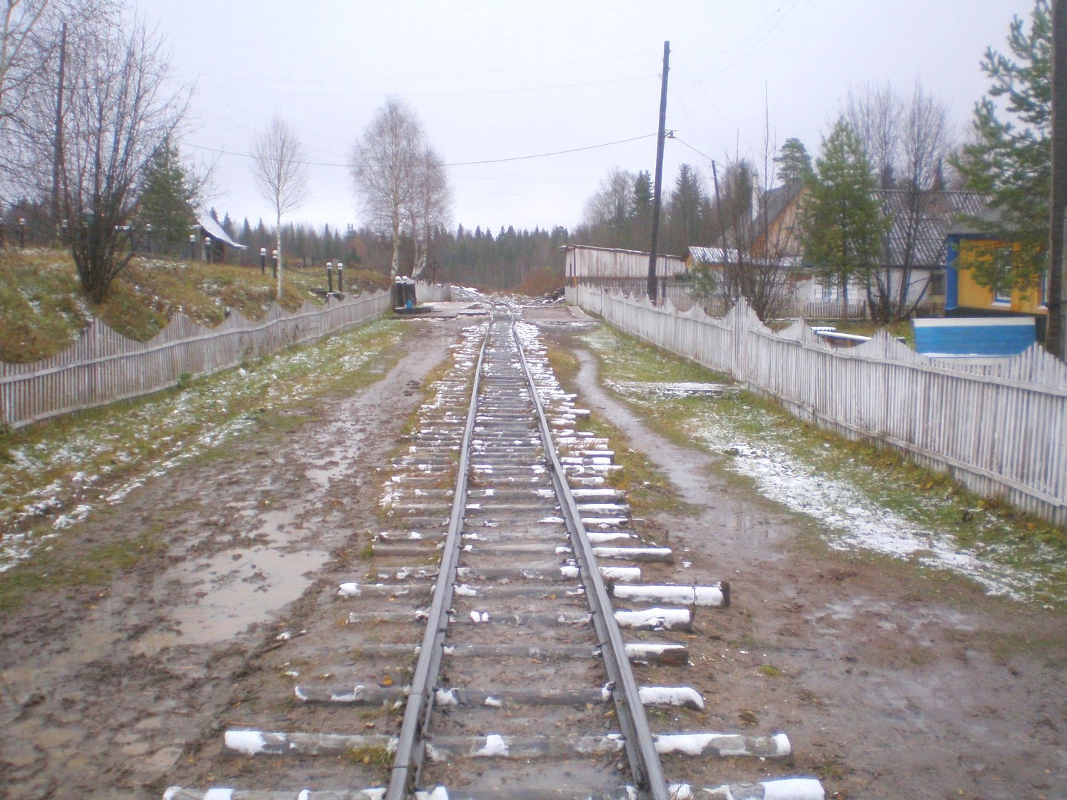 Пильвенская узкоколейная железная дорога — фотографии, сделанные в 2008 году (часть 17) Пильвенская узкоколейная железная дорога — фотографии, сделанные в 2008 году (часть 17)
