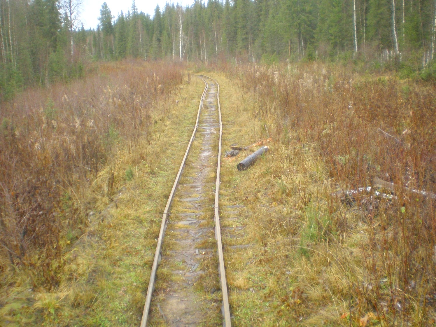 Пильвенская узкоколейная железная дорога — фотографии, сделанные в 2008 году (часть 19) Пильвенская узкоколейная железная дорога — фотографии, сделанные в 2008 году (часть 19)