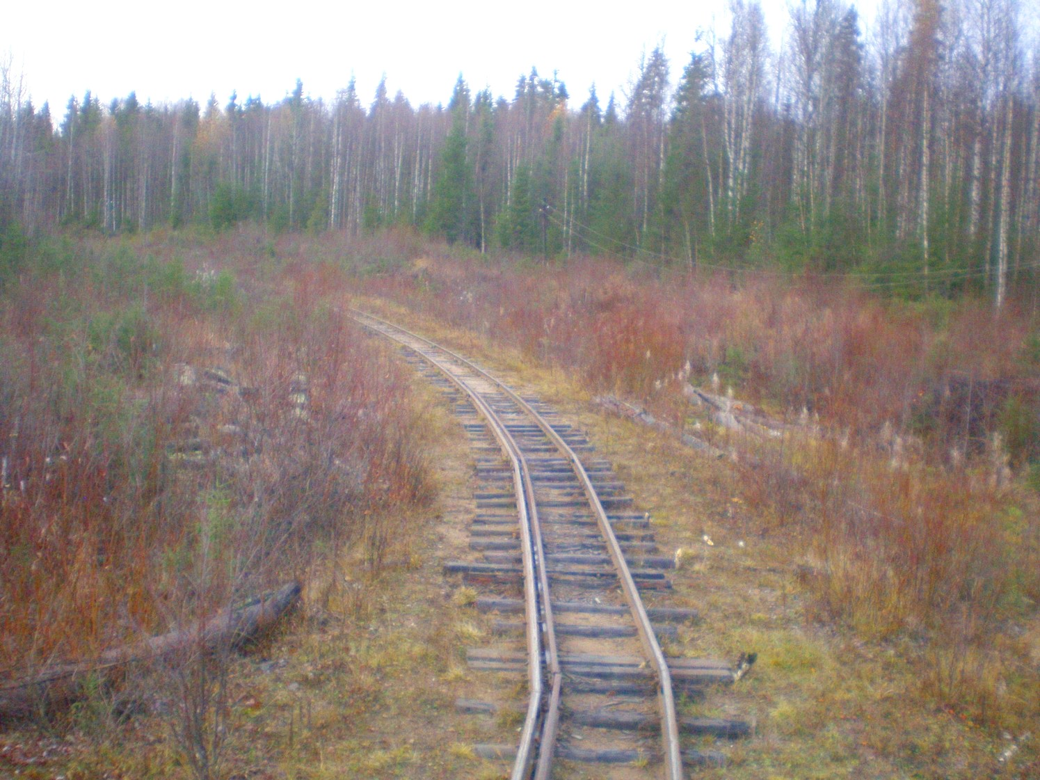 Пильвенская узкоколейная железная дорога — фотографии, сделанные в 2008 году (часть 23) Пильвенская узкоколейная железная дорога — фотографии, сделанные в 2008 году (часть 23)