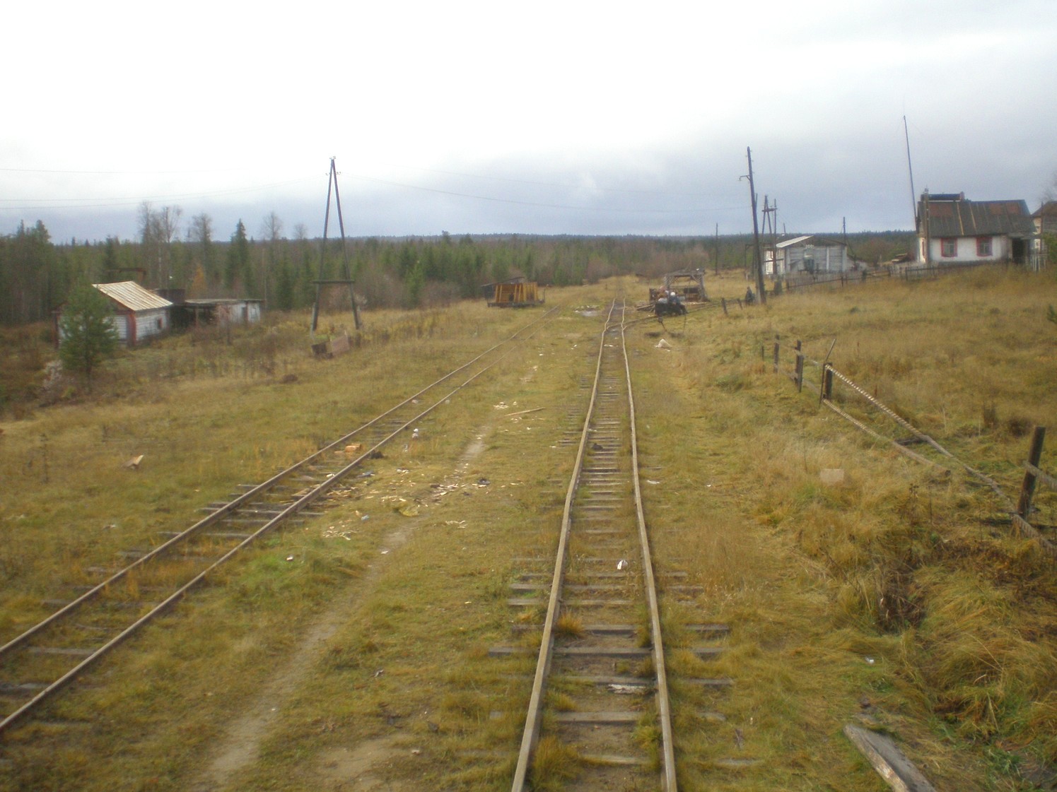 Пильвенская узкоколейная железная дорога — фотографии, сделанные в 2008 году (часть 24) Пильвенская узкоколейная железная дорога — фотографии, сделанные в 2008 году (часть 24)