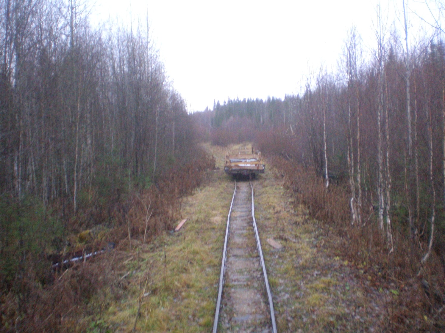 Пильвенская узкоколейная железная дорога — фотографии, сделанные в 2008 году (часть 26) Пильвенская узкоколейная железная дорога — фотографии, сделанные в 2008 году (часть 26)