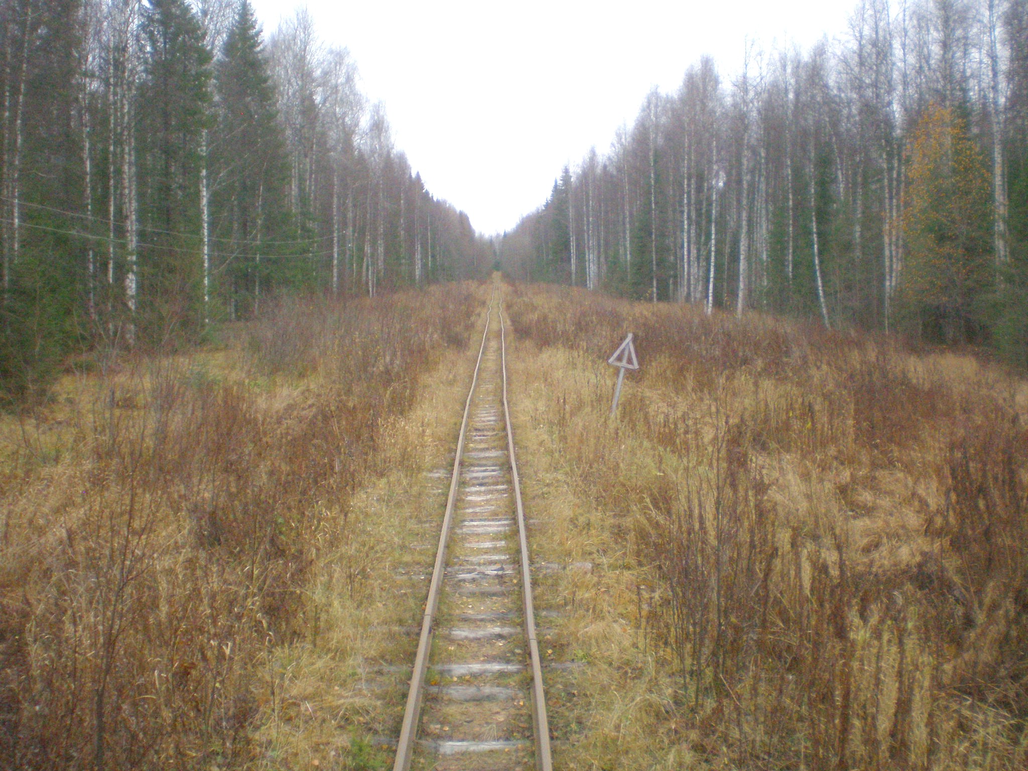 Пильвенская узкоколейная железная дорога — фотографии, сделанные в 2008 году (часть 4) Пильвенская узкоколейная железная дорога — фотографии, сделанные в 2008 году (часть 4)