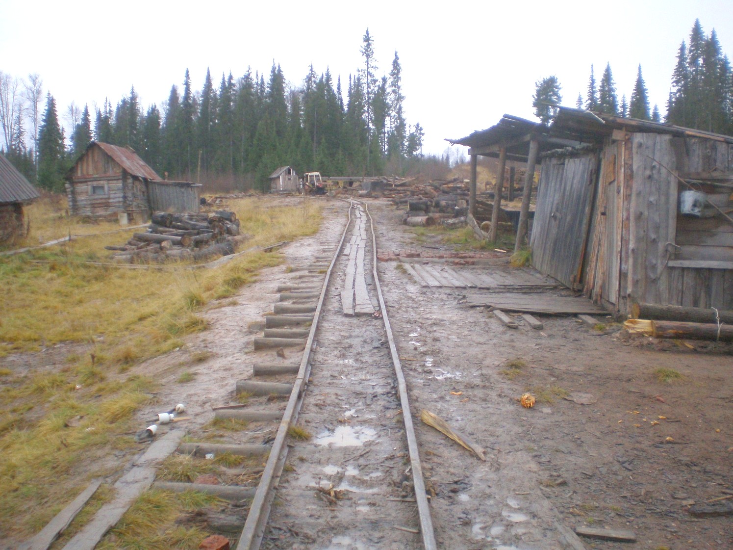 Пильвенская узкоколейная железная дорога — фотографии, сделанные в 2008 году (часть 33) Пильвенская узкоколейная железная дорога — фотографии, сделанные в 2008 году (часть 33)
