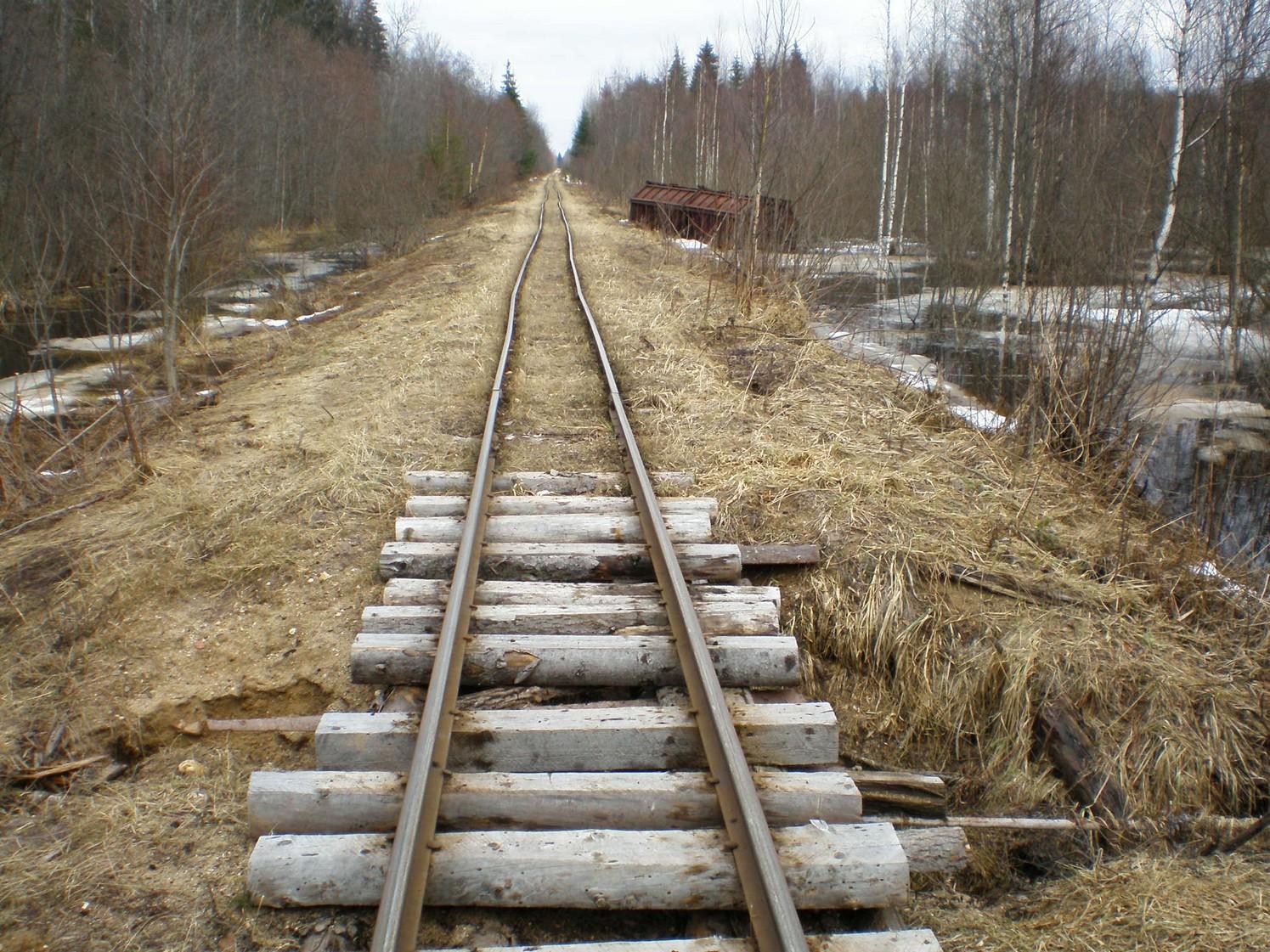 Узкоколейная железная дорога Ранцевского торфопредприятия — фотографии, сделанные в 2008 году (часть 8) Узкоколейная железная дорога Ранцевского торфопредприятия — фотографии, сделанные в 2008 году (часть 8)