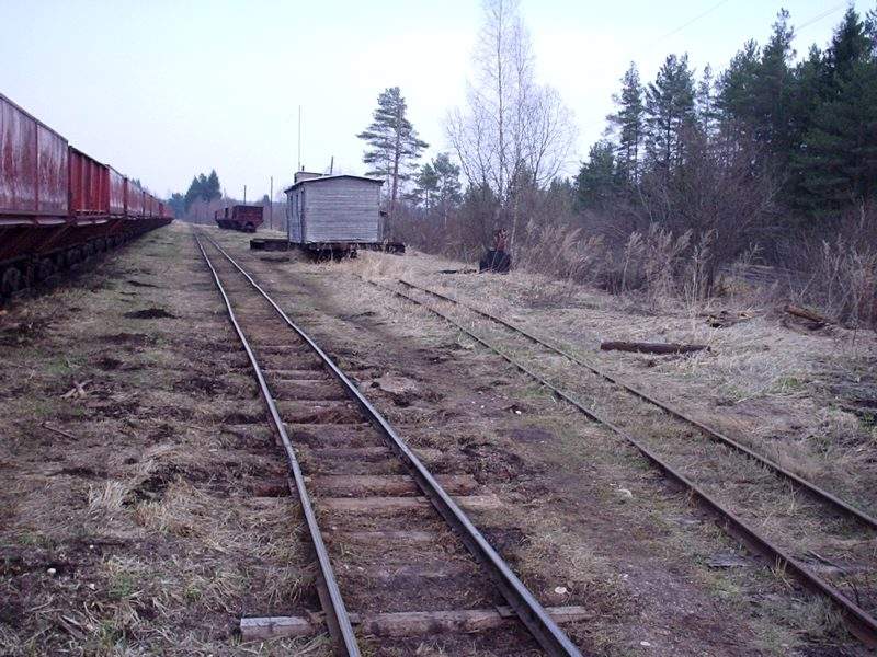 Узкоколейная железная дорога Ранцевского торфопредприятия — фотографии, сделанные в 2005 году (часть 3) Узкоколейная железная дорога Ранцевского торфопредприятия — фотографии, сделанные в 2005 году (часть 3)