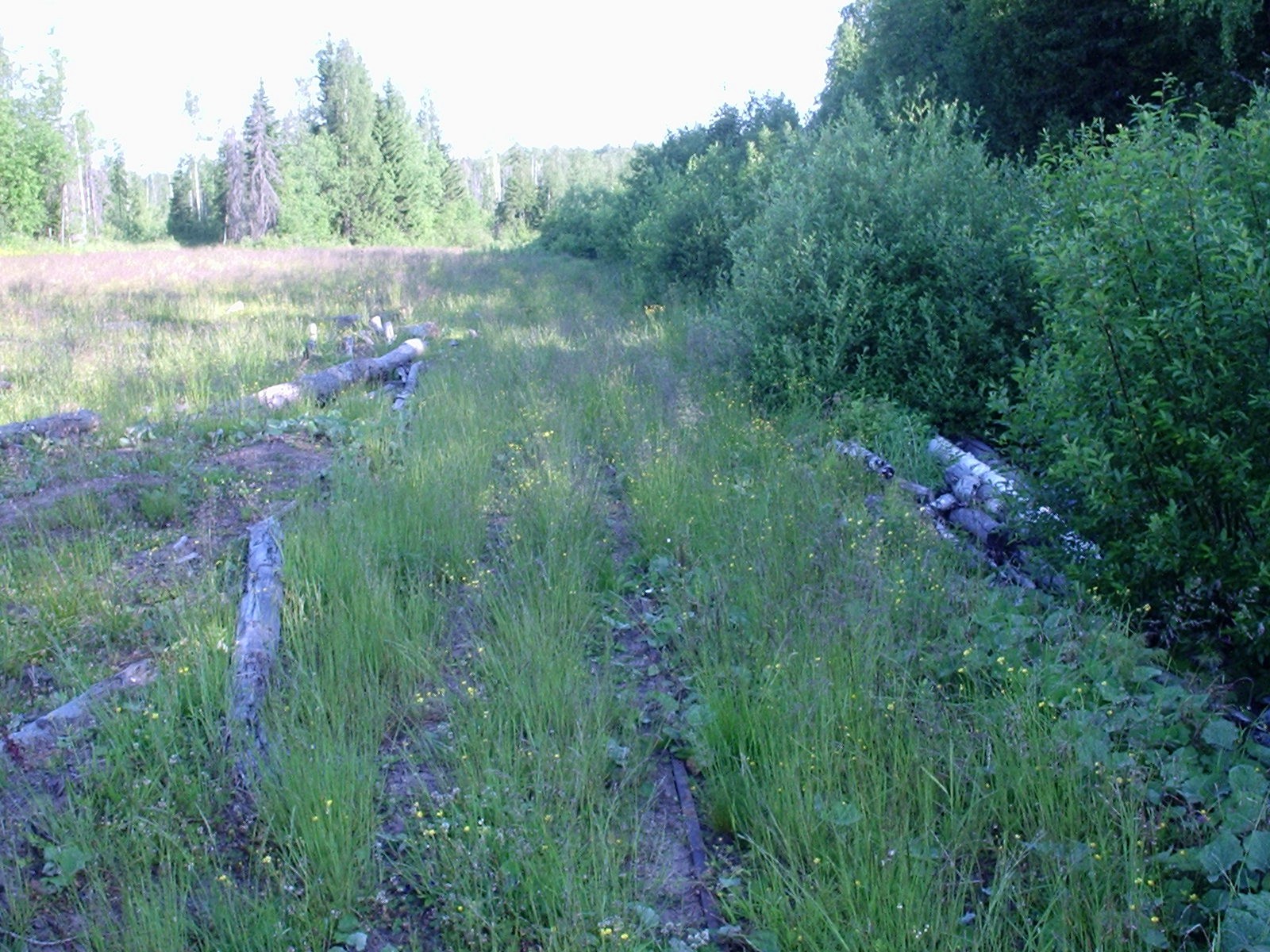 Сенгосская узкоколейная железная дорога — фотографии, сделанные в 2005 году (часть 2) Сенгосская узкоколейная железная дорога — фотографии, сделанные в 2005 году (часть 2)