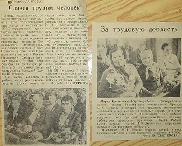 Берёзовская узкоколейная железная дорога Берёзовская узкоколейная железная дорога