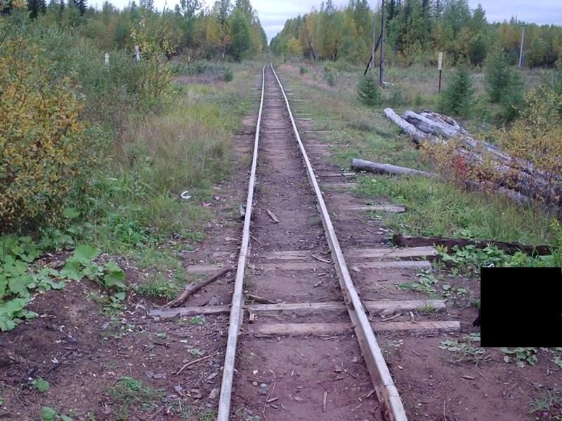 Синдорская узкоколейная железная дорога - фотографии (часть 1) Синдорская узкоколейная железная дорога - фотографии (часть 1)