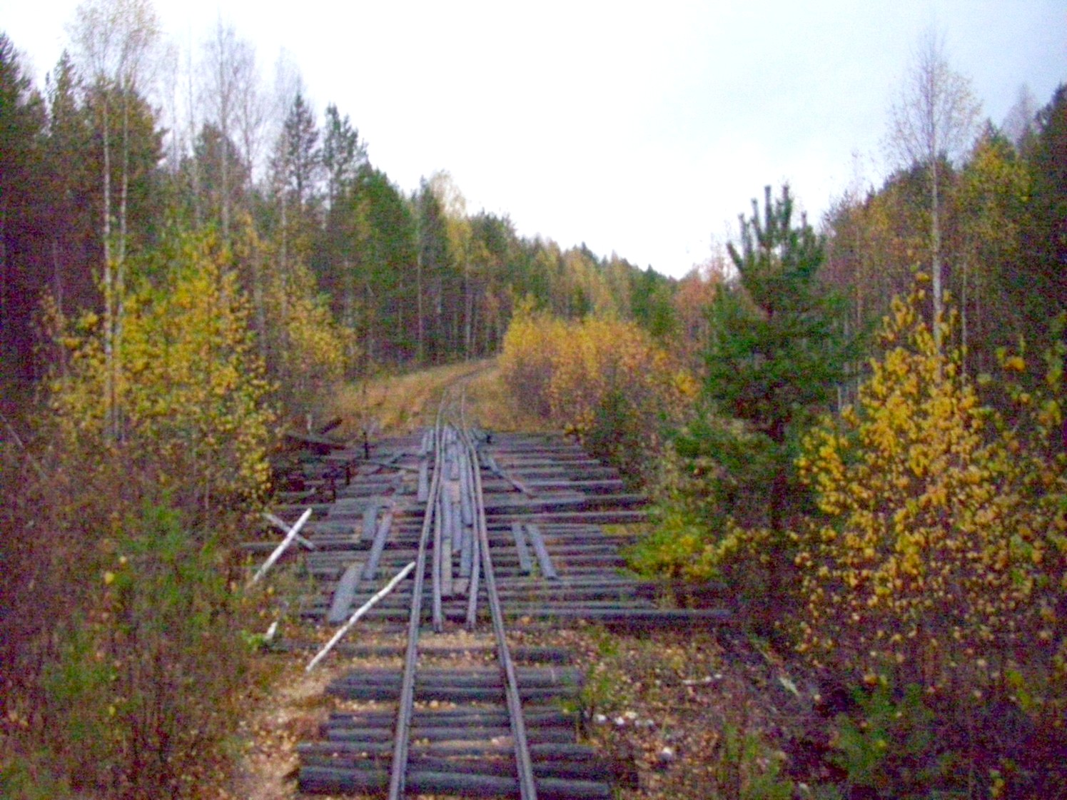 Чепецкая узкоколейная железная дорога — фотографии, сделанные в 2009 году (часть 10) Чепецкая узкоколейная железная дорога — фотографии, сделанные в 2009 году (часть 10)