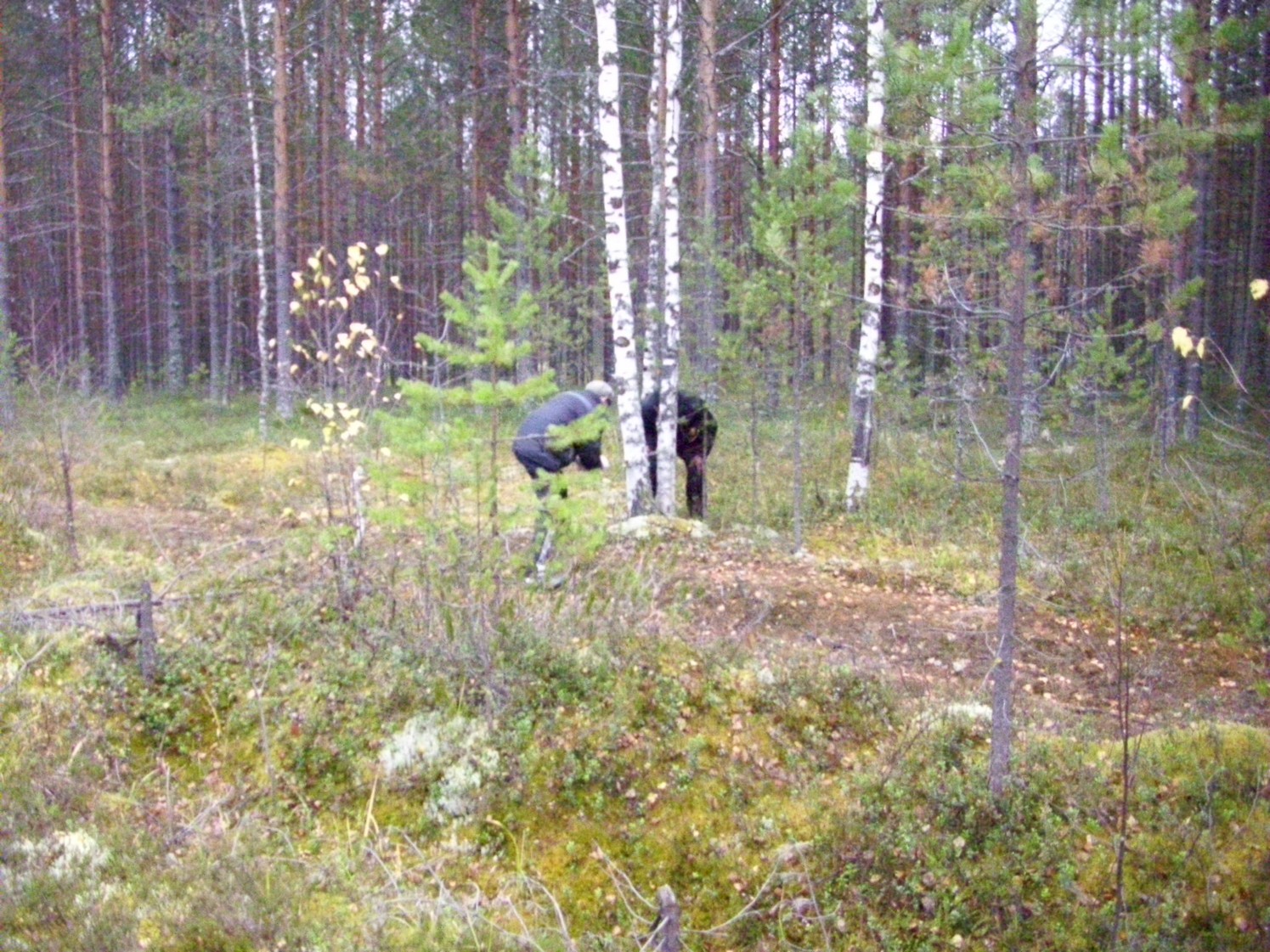 Чепецкая узкоколейная железная дорога — фотографии, сделанные в 2009 году (часть 12) Чепецкая узкоколейная железная дорога — фотографии, сделанные в 2009 году (часть 12)
