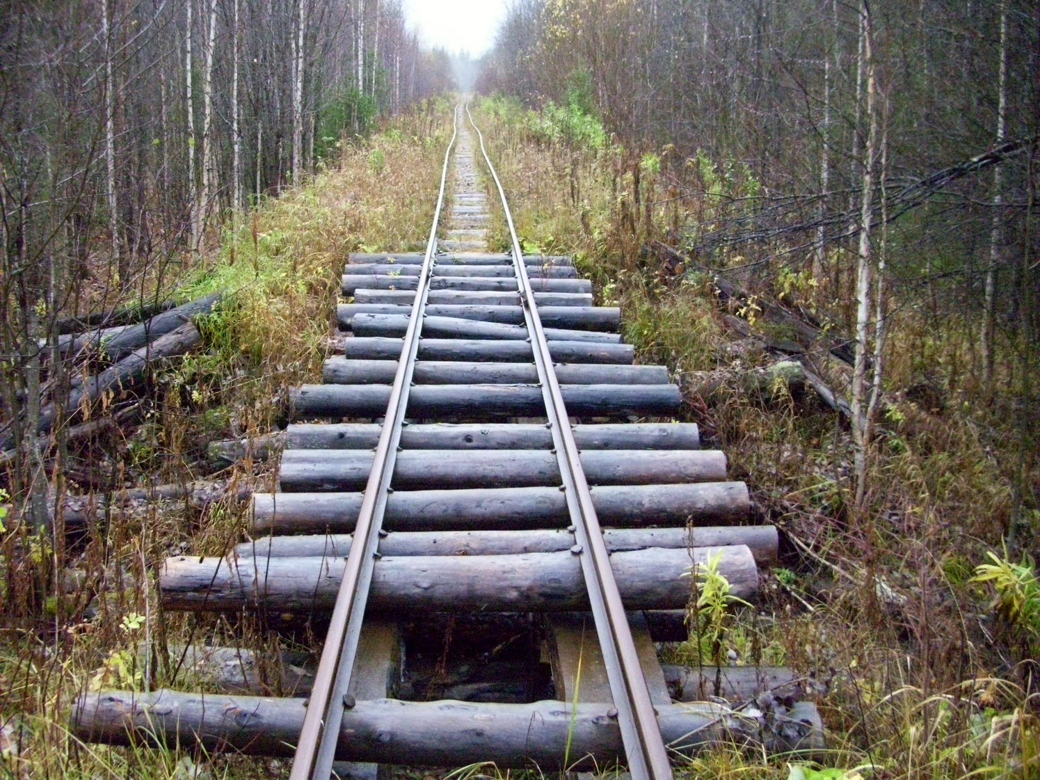 Чепецкая узкоколейная железная дорога — фотографии, сделанные в 2009 году (часть 31) Чепецкая узкоколейная железная дорога — фотографии, сделанные в 2009 году (часть 31)