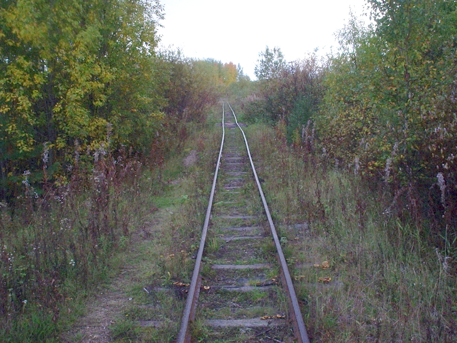 Ветьинская узкоколейная железная дорога — фотографии, сделанные в 2005 году (часть 5) Ветьинская узкоколейная железная дорога — фотографии, сделанные в 2005 году (часть 5)