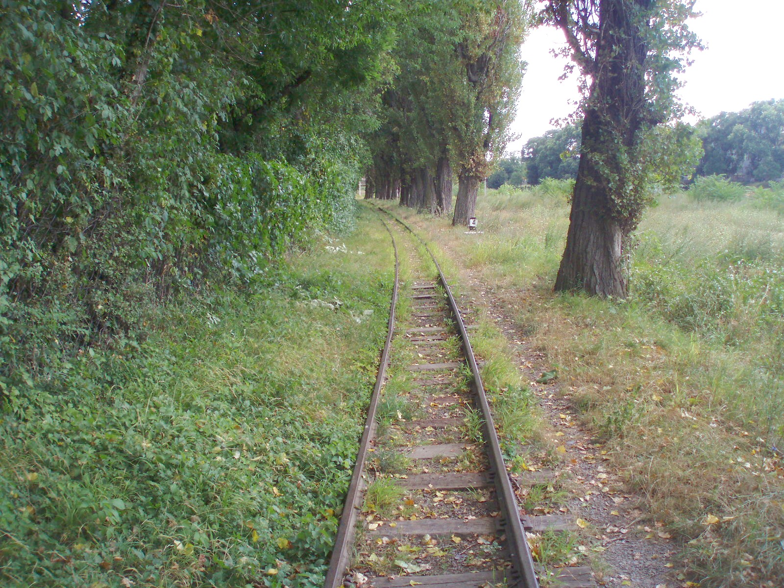 Ужгородская детская железная дорога — фотографии, сделанные в 2007 году (часть 4) Ужгородская детская железная дорога — фотографии, сделанные в 2007 году (часть 4)