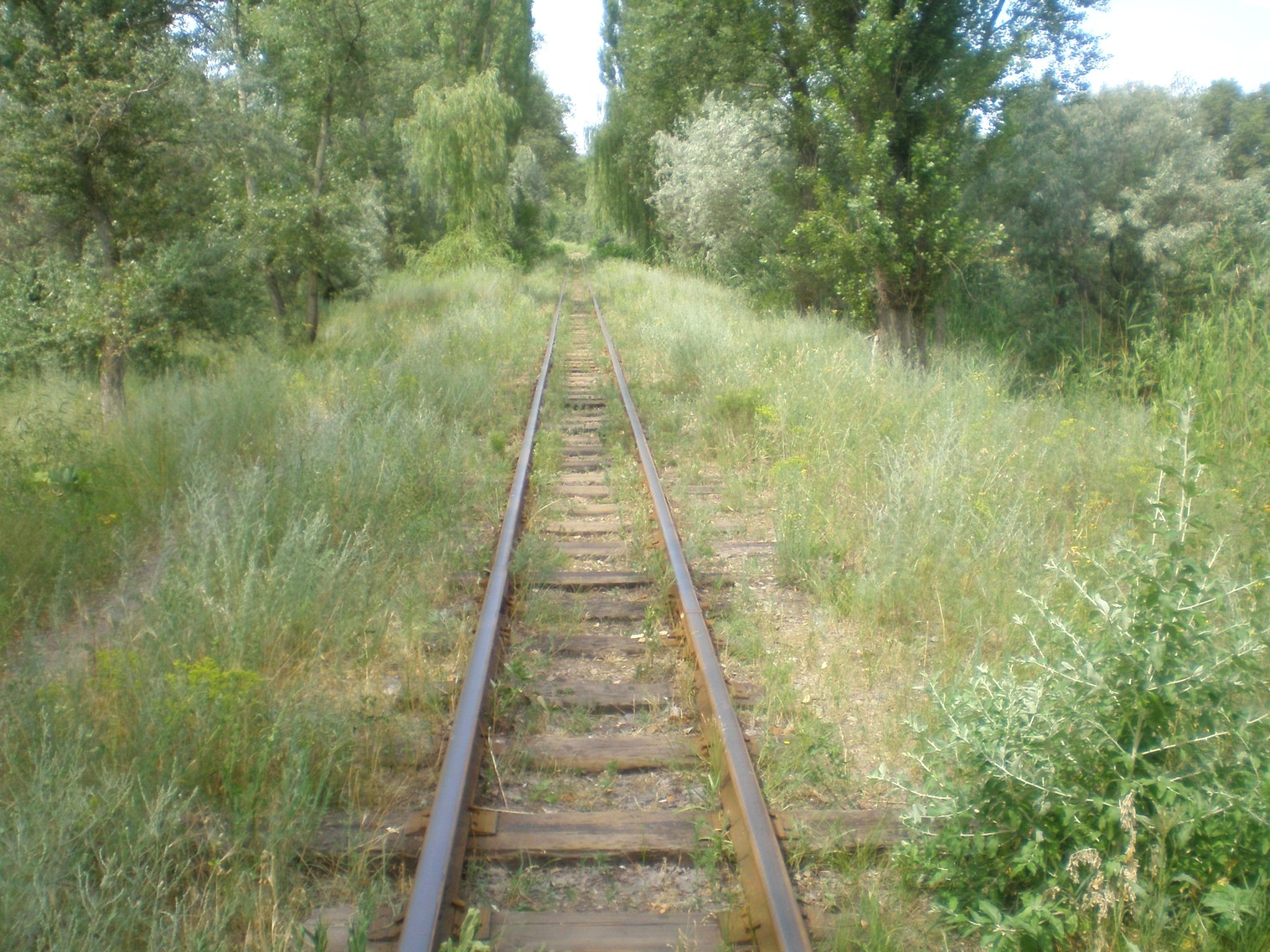 Запорожская детская железная дорога — фотографии, сделанные в 2009 году (часть 15) Запорожская детская железная дорога — фотографии, сделанные в 2009 году (часть 15)