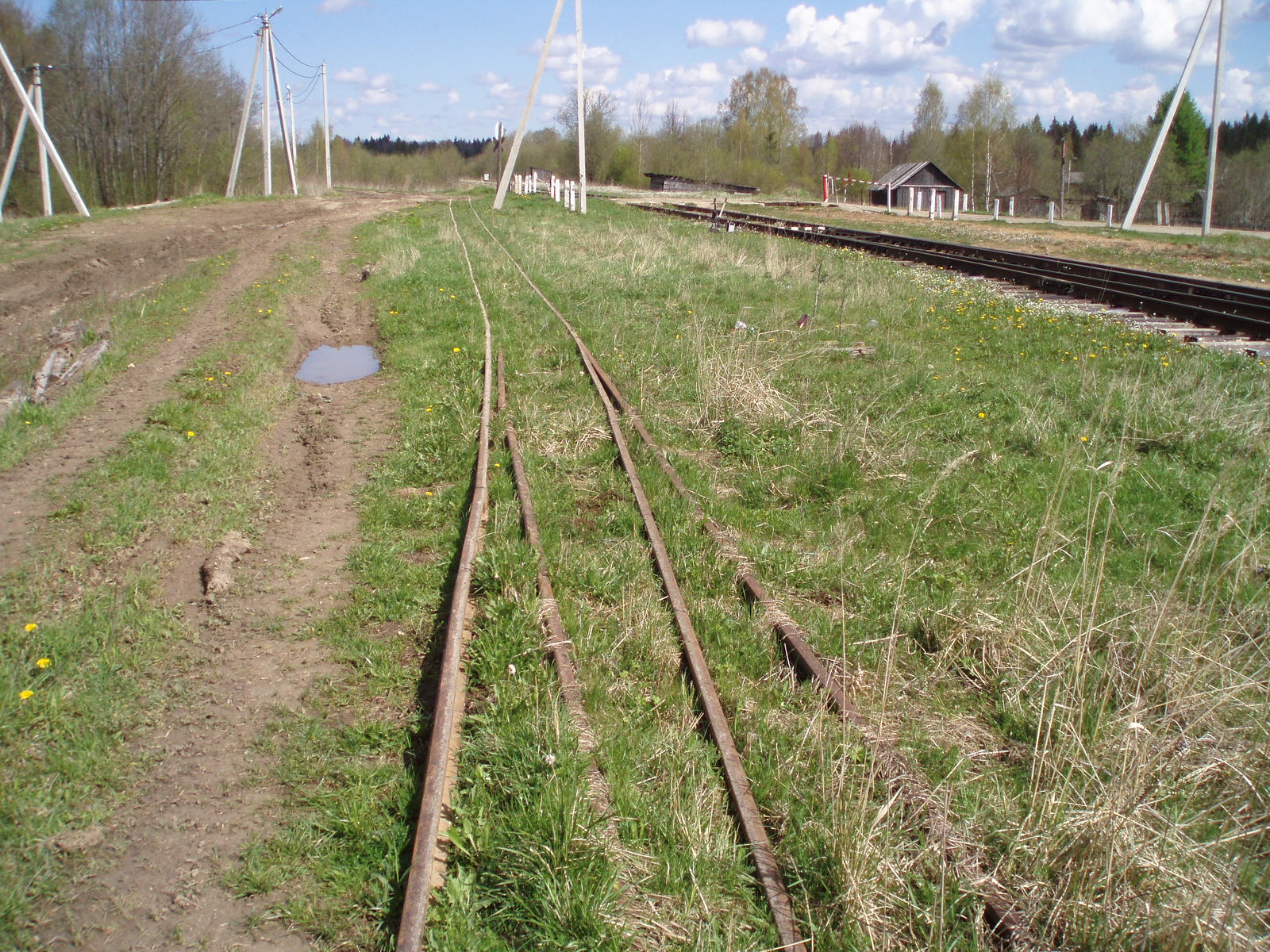 Смородинская узкоколейная железная дорога — фотографии, сделанные в 2007 году (часть 5) Смородинская узкоколейная железная дорога — фотографии, сделанные в 2007 году (часть 5)