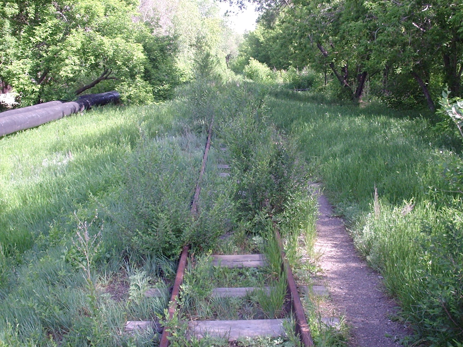 Карагандинская детская железная дорога - фотографии, сделанные в 2007 году (часть 3) Карагандинская детская железная дорога - фотографии, сделанные в 2007 году (часть 3)