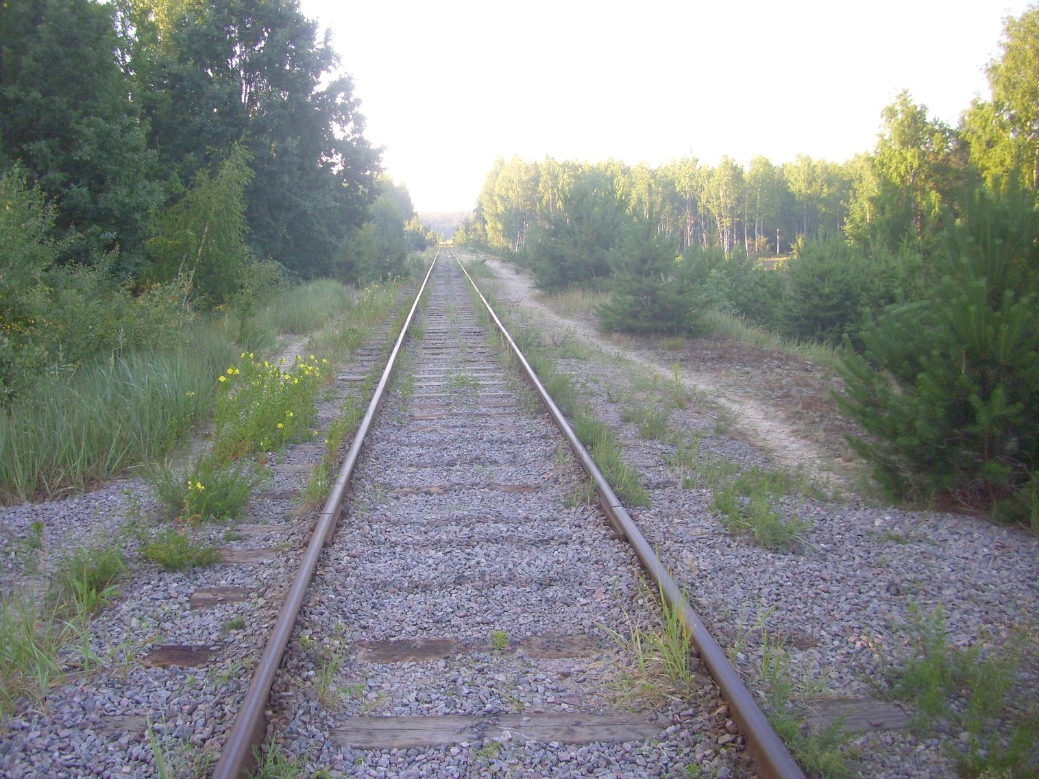 Железнодорожная линия Десна — Полигон — фотографии, сделанные в 2011 году (часть 5) Железнодорожная линия Десна — Полигон — фотографии, сделанные в 2011 году (часть 5)