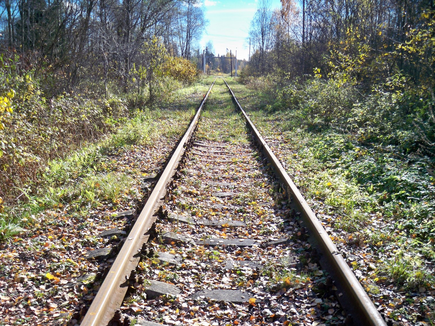 Железнодорожная линия Решетниково — Конаково
— фотографии, сделанные в 2013 году (часть 2) Железнодорожная линия Решетниково — Конаково
— фотографии, сделанные в 2013 году (часть 2)