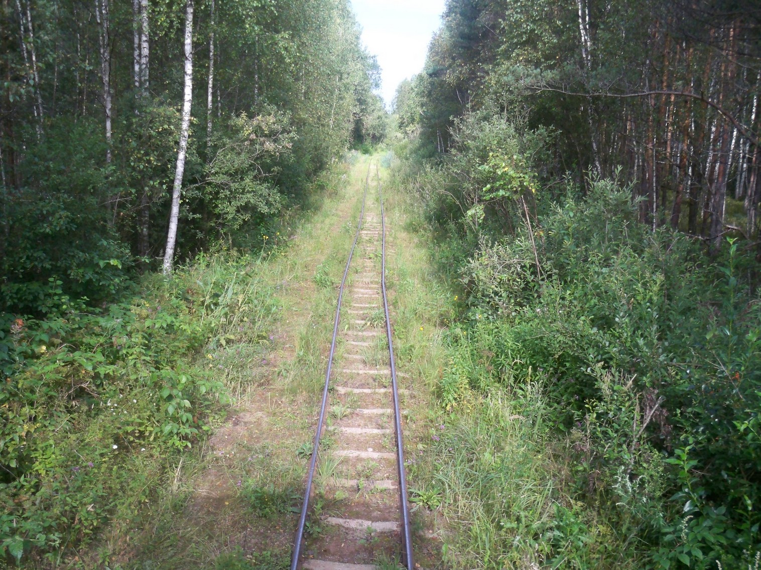 Узкоколейная железная дорога торфопредприятия имени Даумана
— фотографии, сделанные в 2013 году (часть 3) Узкоколейная железная дорога торфопредприятия имени Даумана
— фотографии, сделанные в 2013 году (часть 3)