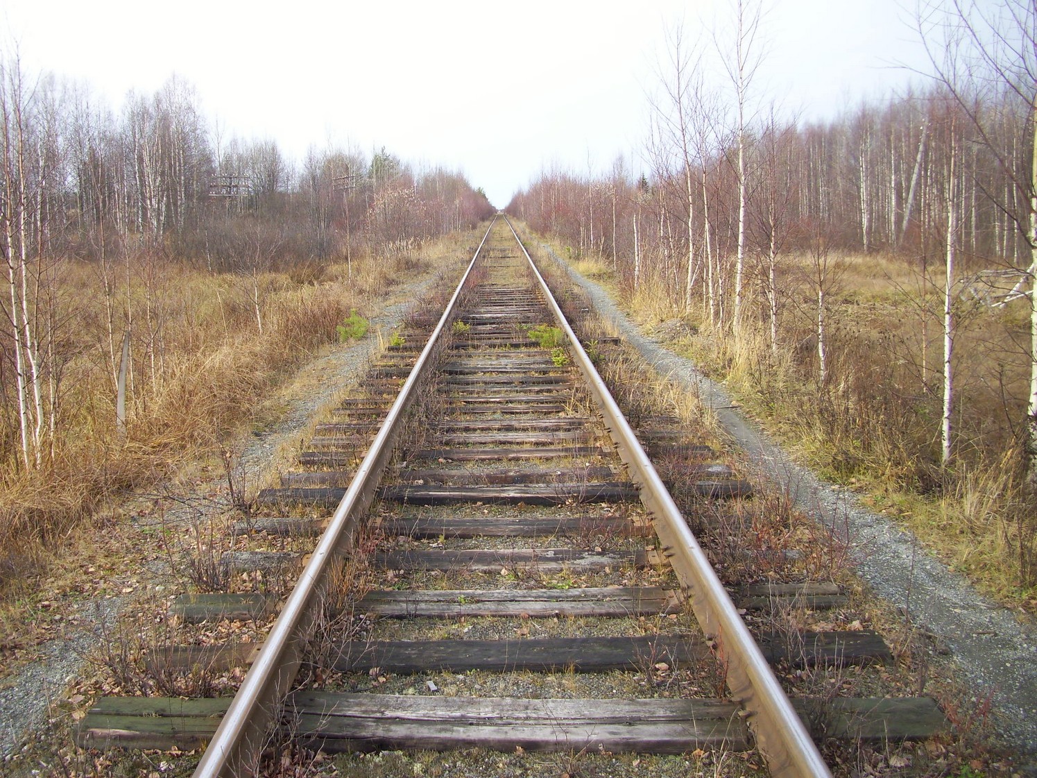 Гайно-Кайская железная дорога — фотографии, сделанные в 2009 году (часть 6) Гайно-Кайская железная дорога — фотографии, сделанные в 2009 году (часть 6)