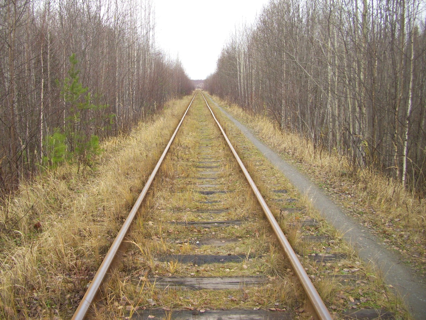 Гайно-Кайская железная дорога — фотографии, сделанные в 2009 году (часть 8) Гайно-Кайская железная дорога — фотографии, сделанные в 2009 году (часть 8)