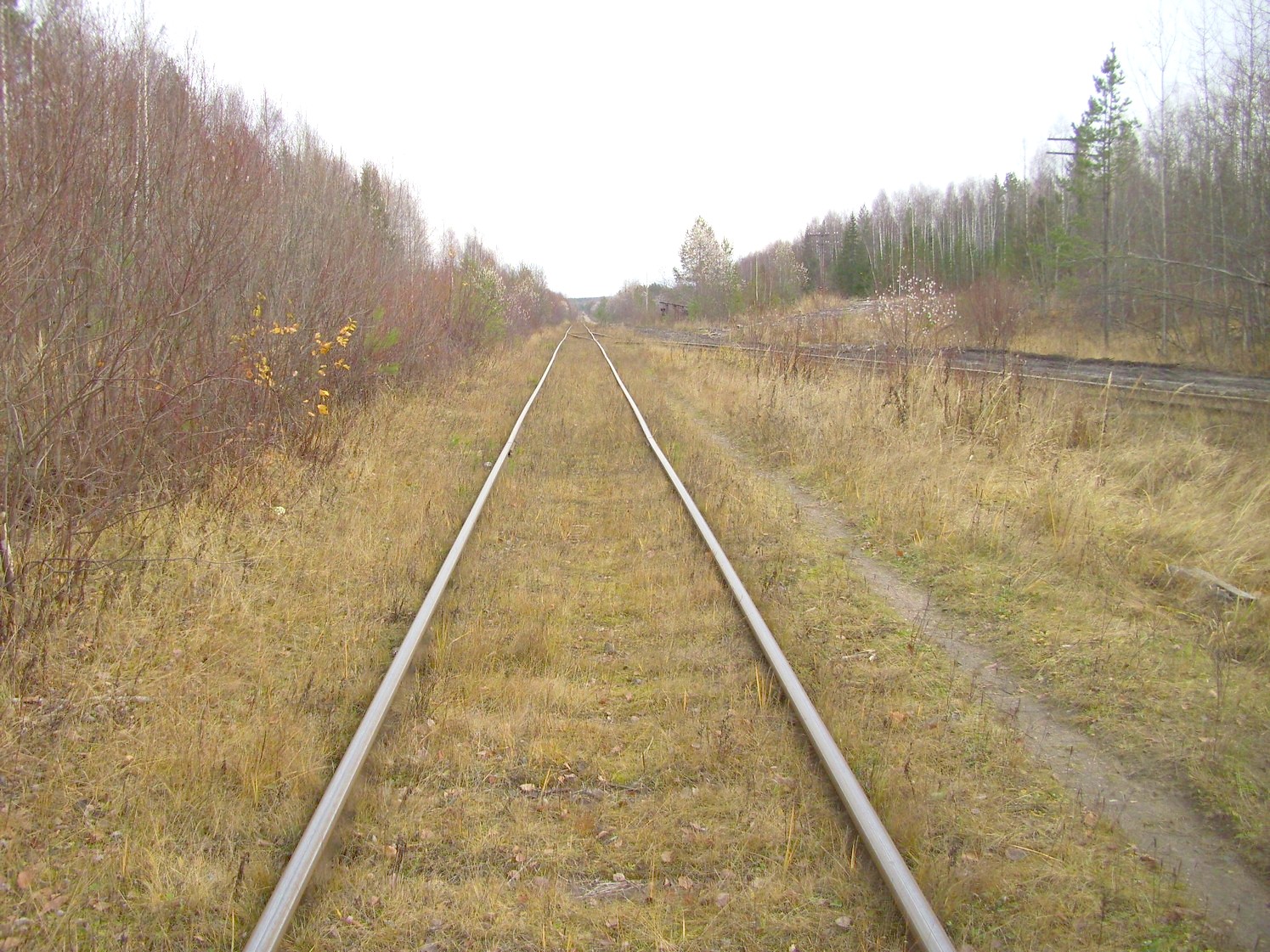 Гайно-Кайская железная дорога — фотографии, сделанные в 2009 году (часть 9) Гайно-Кайская железная дорога — фотографии, сделанные в 2009 году (часть 9)