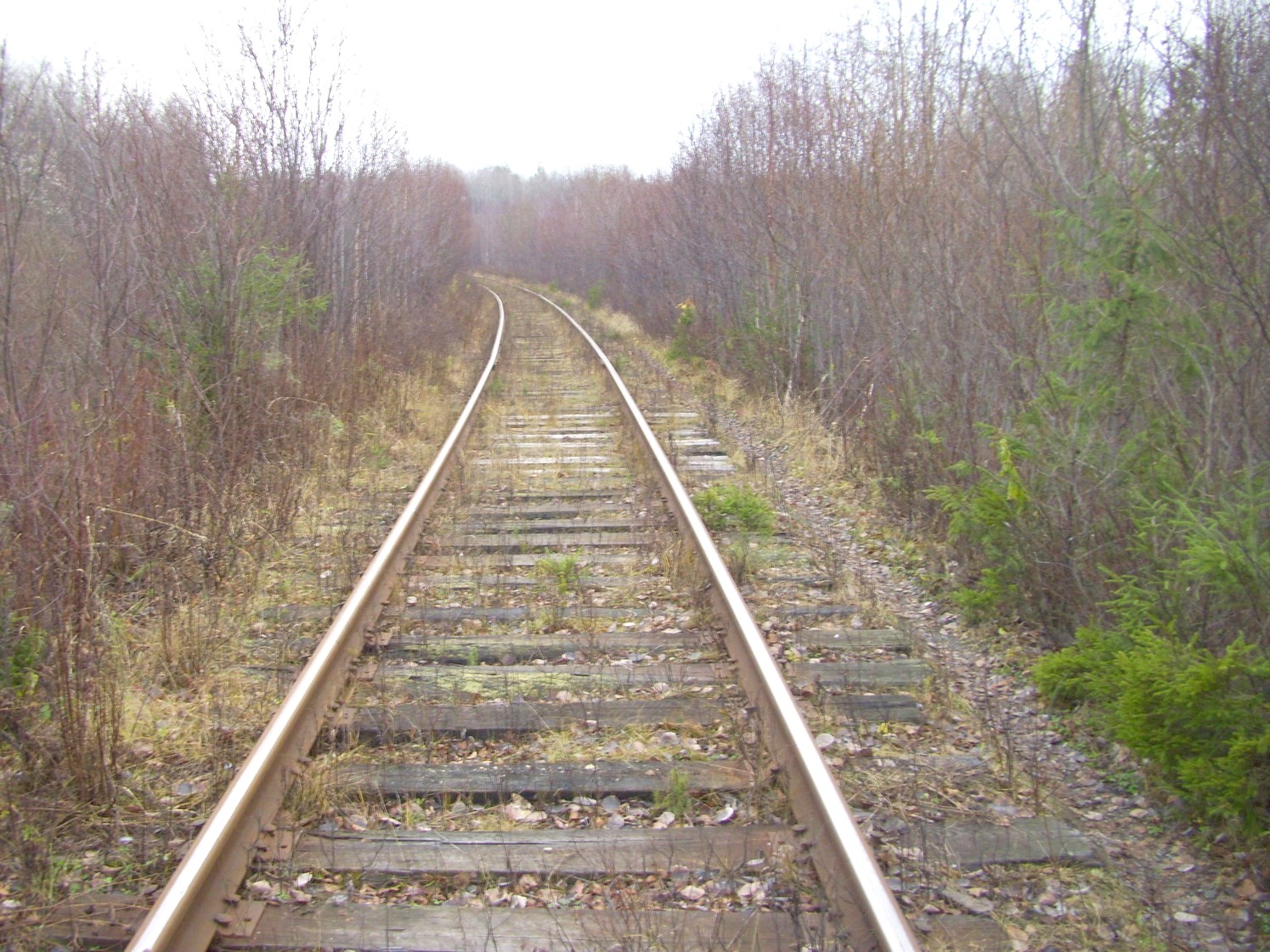 Гайно-Кайская железная дорога — фотографии, сделанные в 2009 году (часть 11) Гайно-Кайская железная дорога — фотографии, сделанные в 2009 году (часть 11)