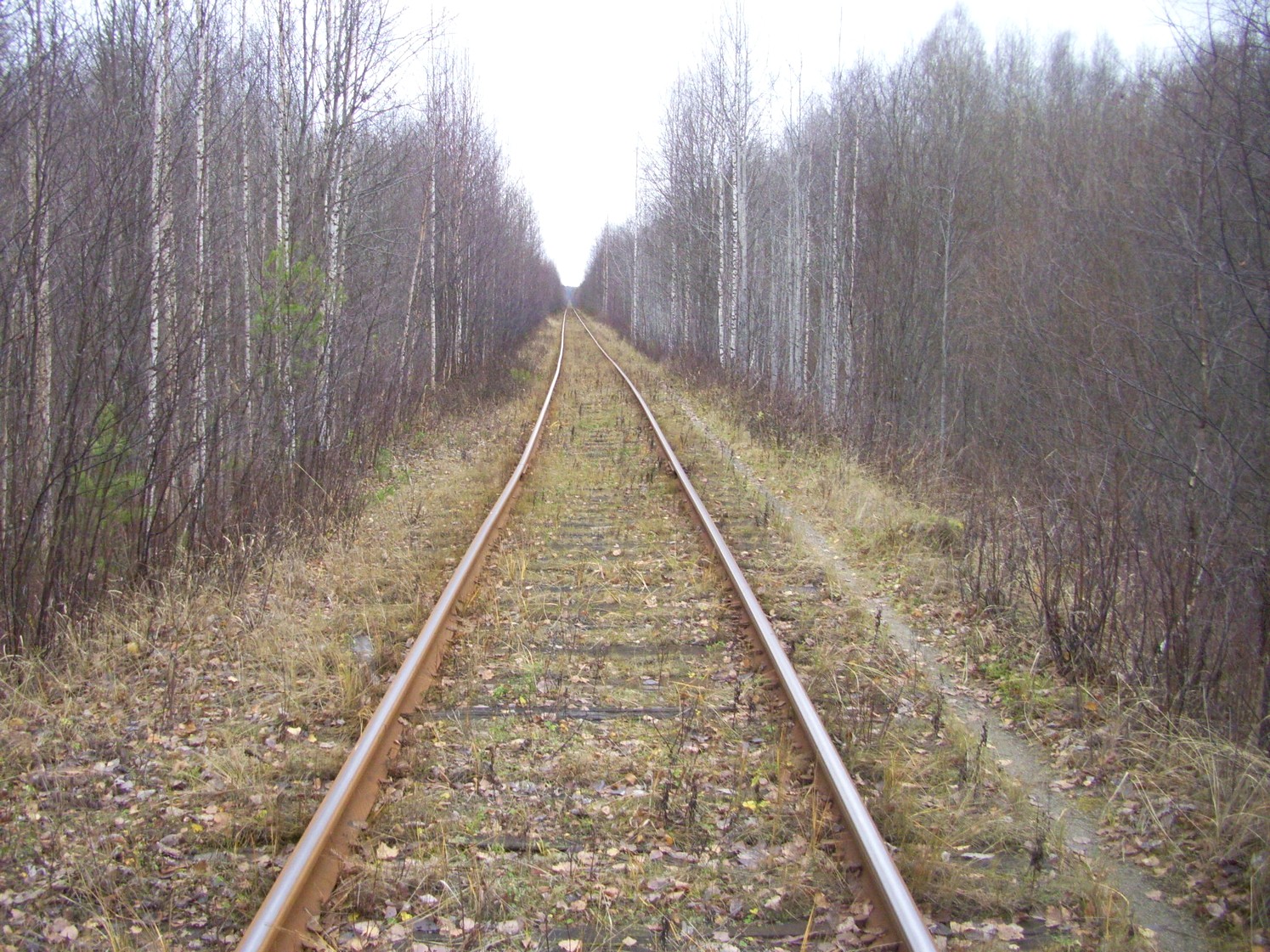 Гайно-Кайская железная дорога — фотографии, сделанные в 2009 году (часть 12) Гайно-Кайская железная дорога — фотографии, сделанные в 2009 году (часть 12)