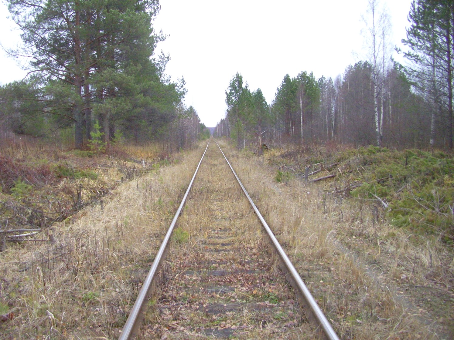 Гайно-Кайская железная дорога — фотографии, сделанные в 2009 году (часть 13) Гайно-Кайская железная дорога — фотографии, сделанные в 2009 году (часть 13)