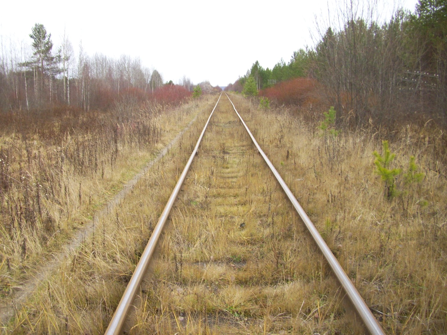 Гайно-Кайская железная дорога — фотографии, сделанные в 2009 году (часть 5) Гайно-Кайская железная дорога — фотографии, сделанные в 2009 году (часть 5)
