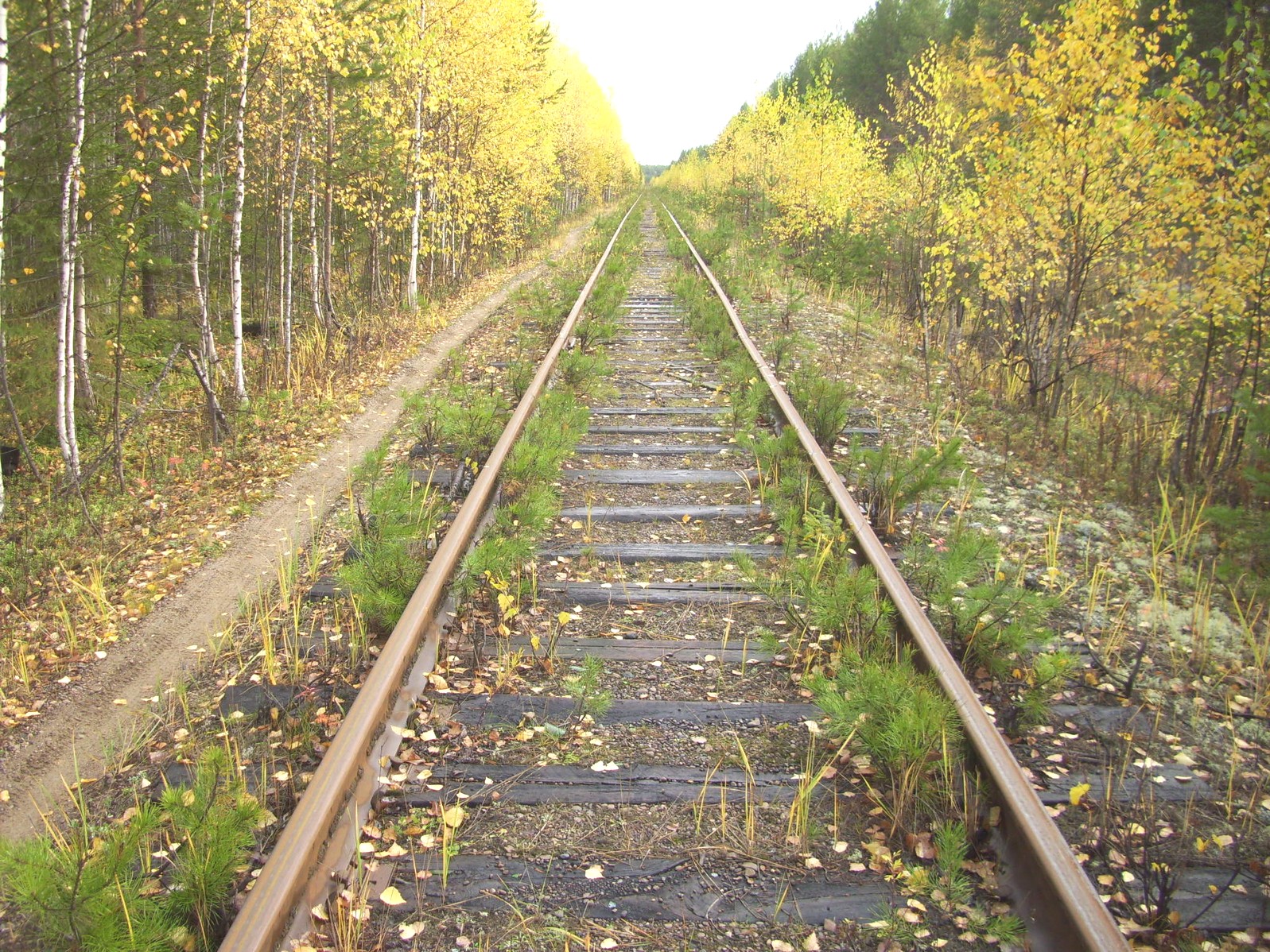 Гайно-Кайская железная дорога — фотографии, сделанные в 2011 году (часть 5) Гайно-Кайская железная дорога — фотографии, сделанные в 2011 году (часть 5)