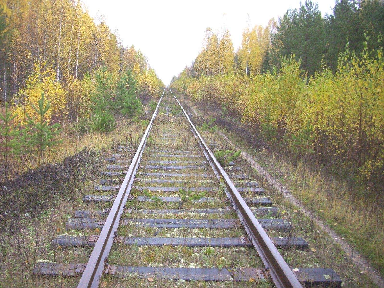 Гайно-Кайская железная дорога — фотографии, сделанные в 2011 году (часть 8) Гайно-Кайская железная дорога — фотографии, сделанные в 2011 году (часть 8)