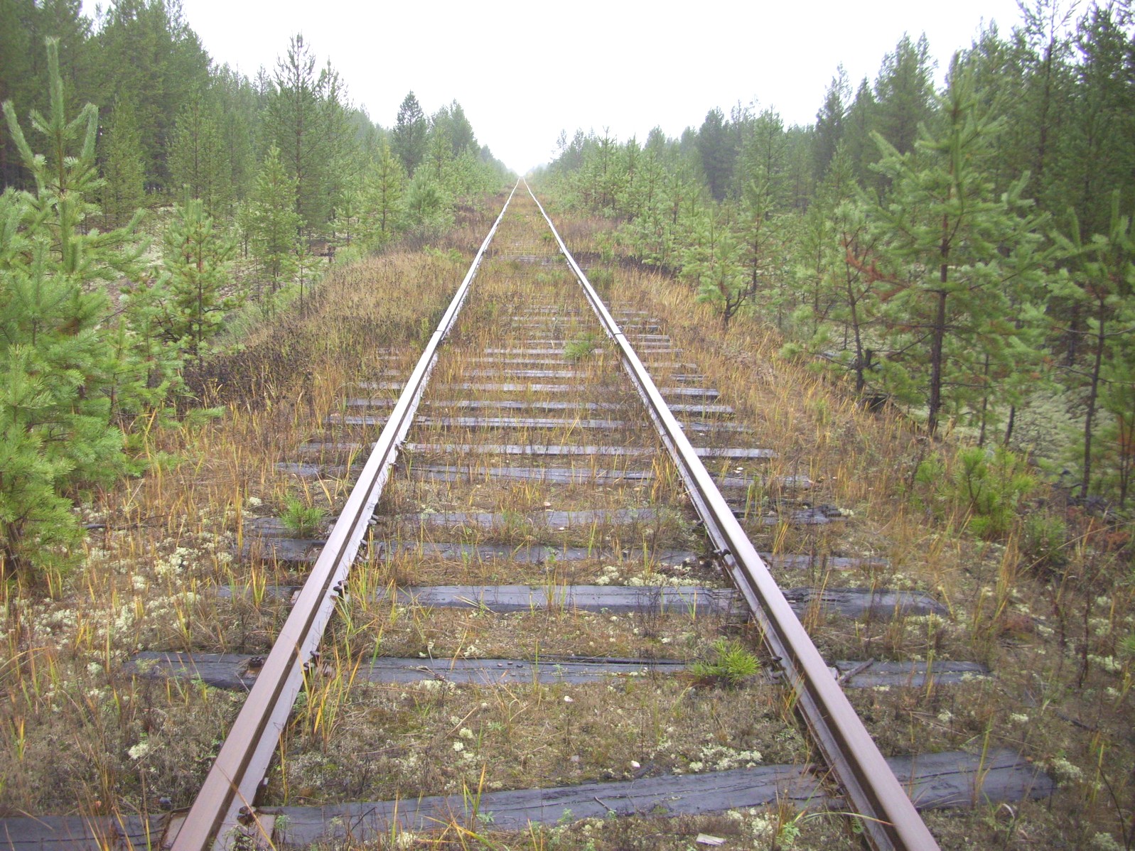 Гайно-Кайская железная дорога — фотографии, сделанные в 2011 году (часть 11) Гайно-Кайская железная дорога — фотографии, сделанные в 2011 году (часть 11)