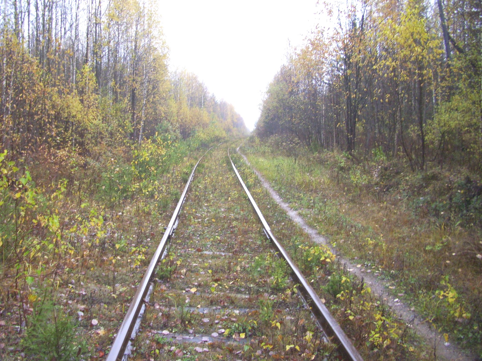 Гайно-Кайская железная дорога — фотографии, сделанные в 2011 году (часть 13) Гайно-Кайская железная дорога — фотографии, сделанные в 2011 году (часть 13)