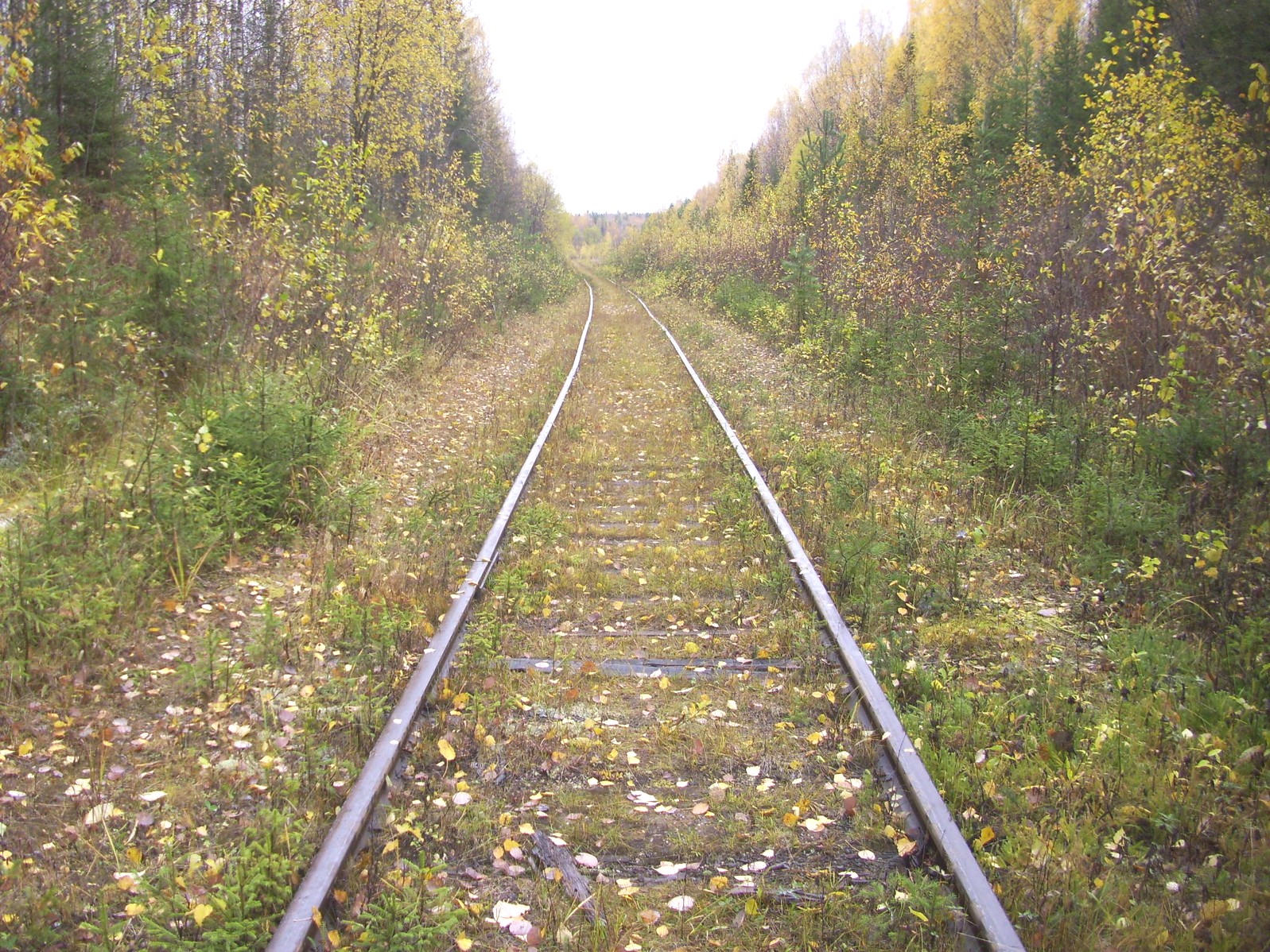 Гайно-Кайская железная дорога — фотографии, сделанные в 2011 году (часть 15) Гайно-Кайская железная дорога — фотографии, сделанные в 2011 году (часть 15)