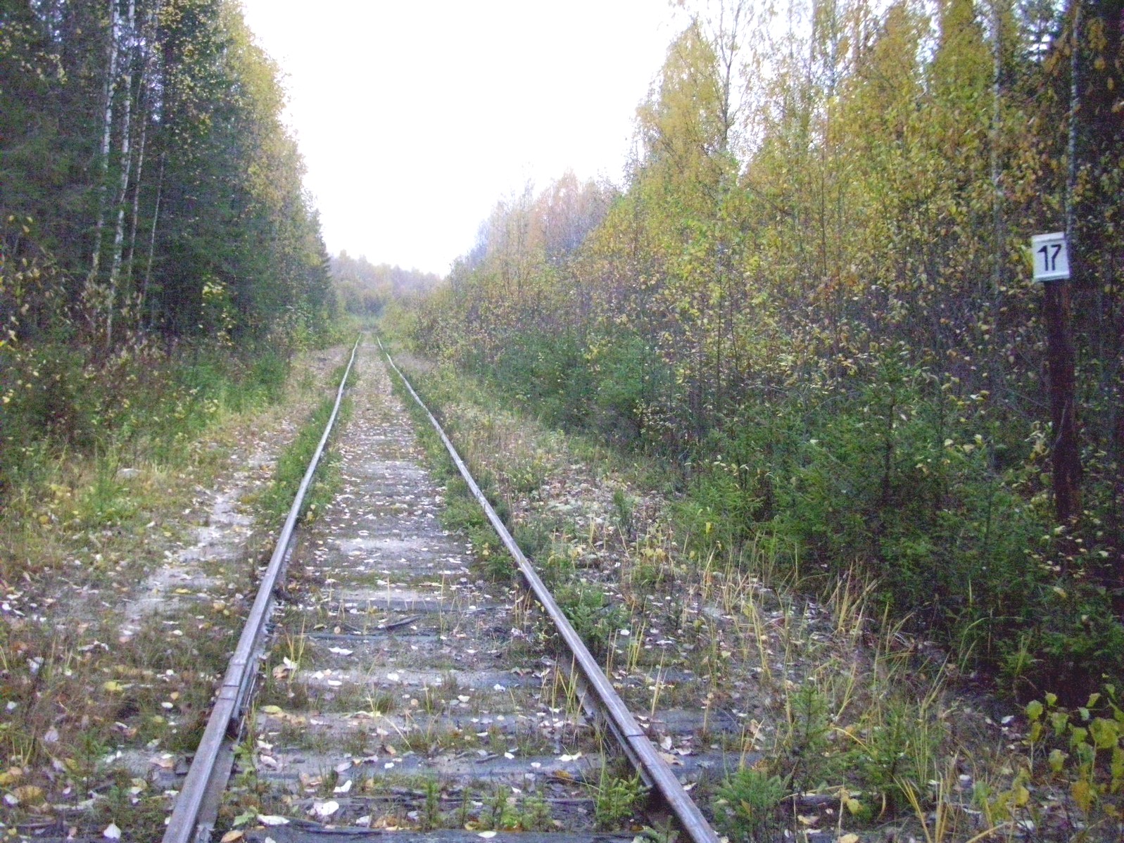 Гайно-Кайская железная дорога — фотографии, сделанные в 2011 году (часть 17) Гайно-Кайская железная дорога — фотографии, сделанные в 2011 году (часть 17)