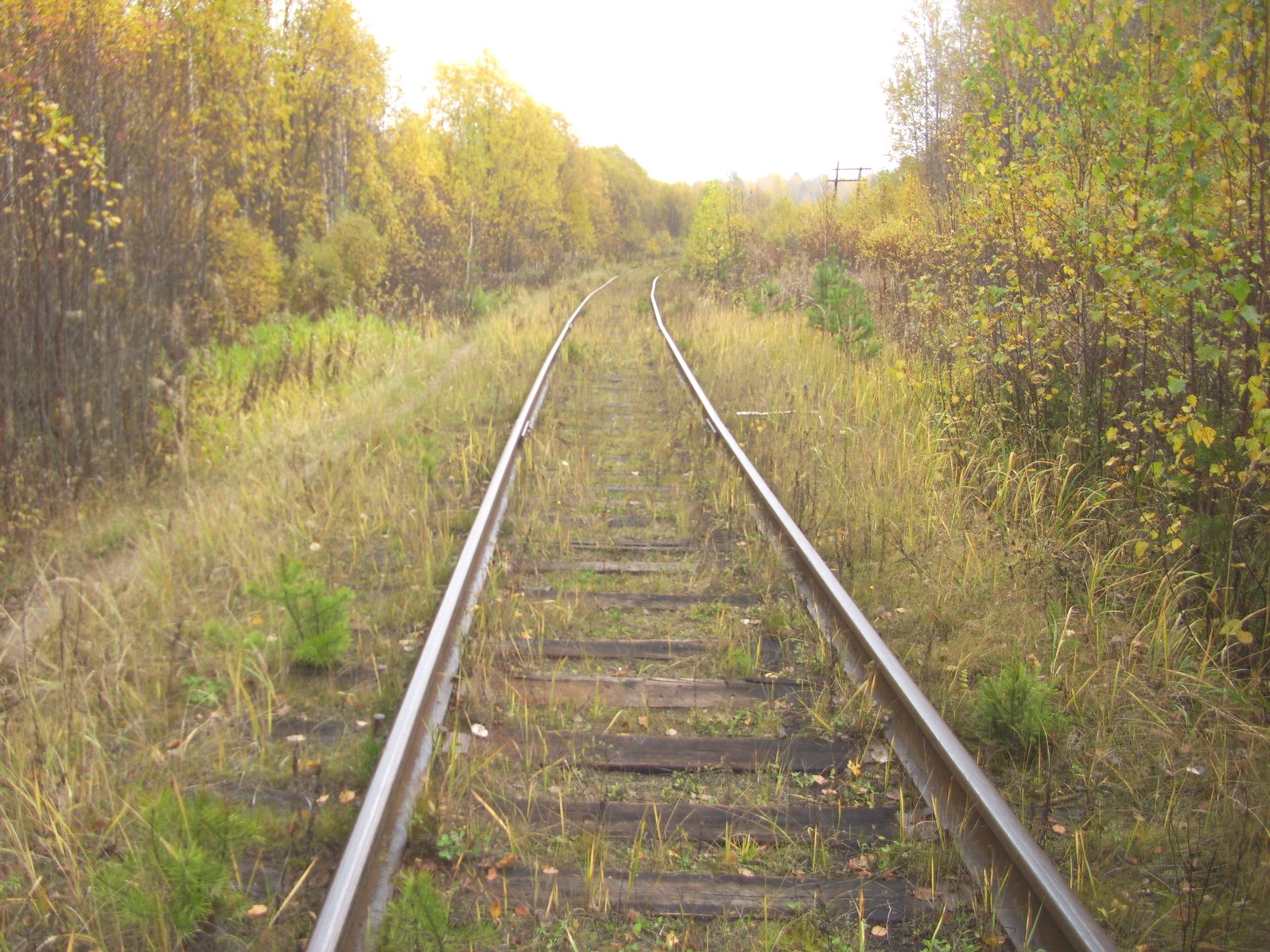 Гайно-Кайская железная дорога — фотографии, сделанные в 2011 году (часть 3) Гайно-Кайская железная дорога — фотографии, сделанные в 2011 году (часть 3)