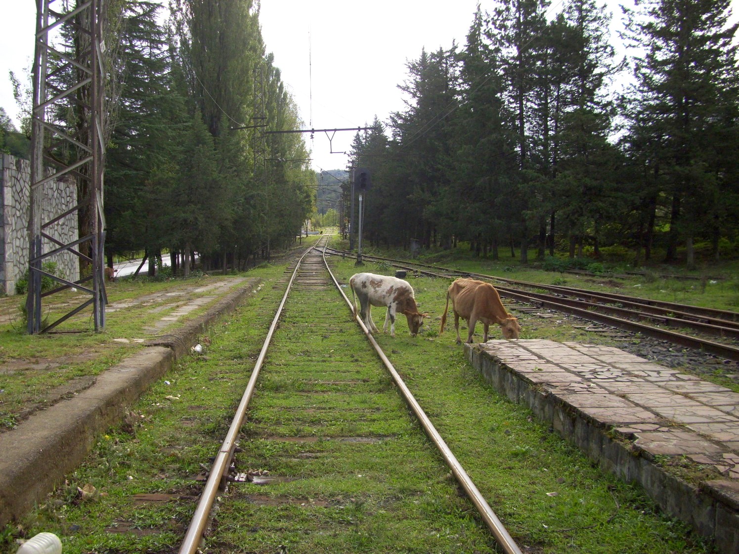 Железнодорожная линия Риони — Кутаиси I — Ткибули — фотографии, сделанные в 2010 году (часть 1) Железнодорожная линия Риони — Кутаиси I — Ткибули — фотографии, сделанные в 2010 году (часть 1)