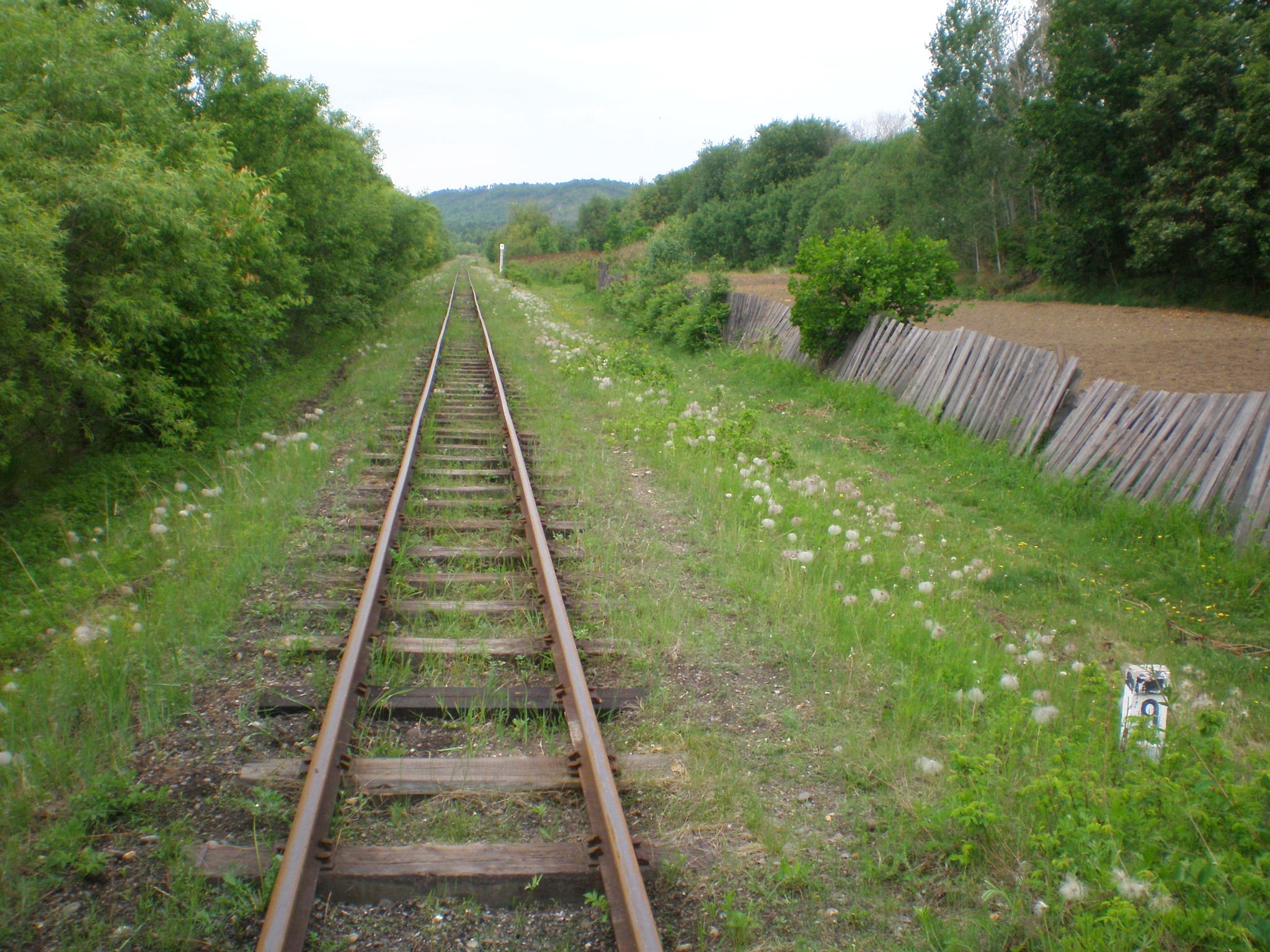 Свободненская детская железная дорога — фотографии, сделанные в 2008 году (часть 11) Свободненская детская железная дорога — фотографии, сделанные в 2008 году (часть 11)