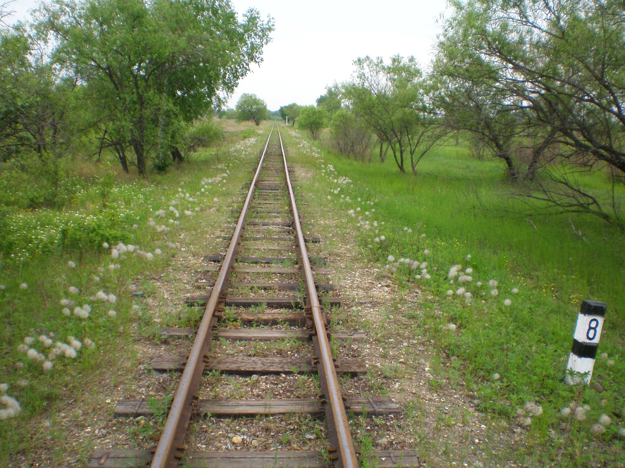 Свободненская детская железная дорога — фотографии, сделанные в 2008 году (часть 16) Свободненская детская железная дорога — фотографии, сделанные в 2008 году (часть 16)